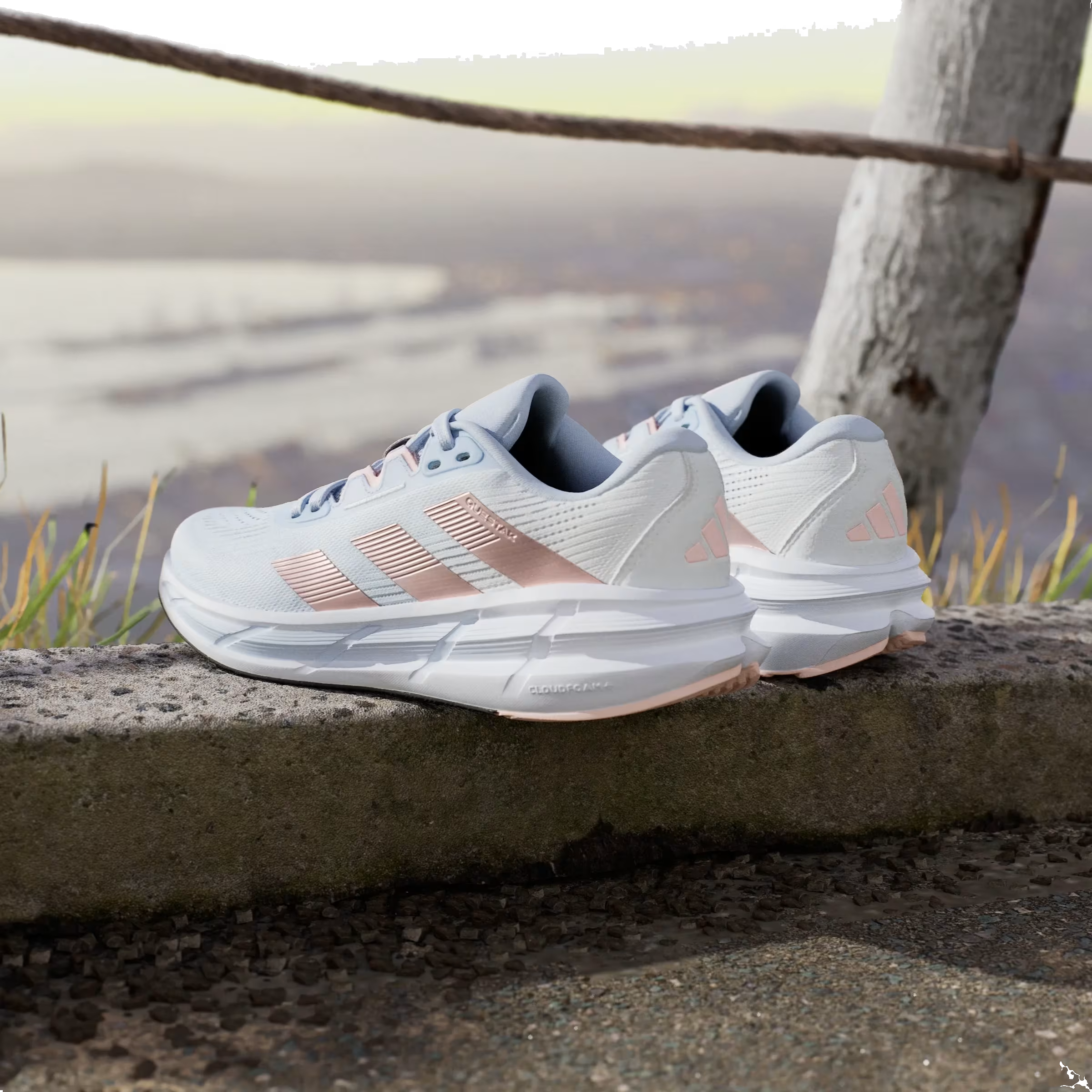 adidas Questar 3