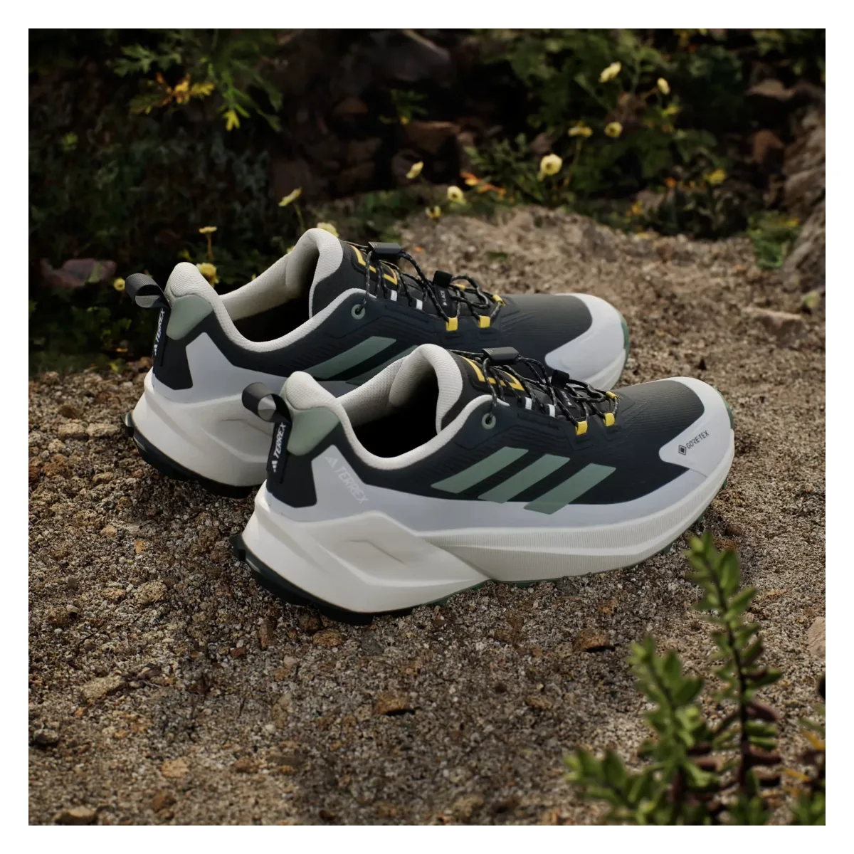 adidas Terrex Trailmaker 2 Gore-Tex National Geographic Carbon Silver Green Orbit Grey