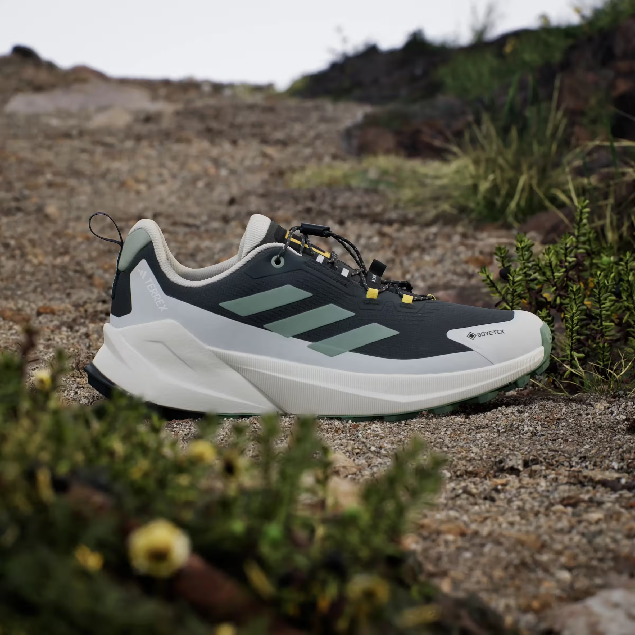 adidas Terrex Trailmaker 2 Gore-Tex National Geographic Carbon Silver Green Orbit Grey