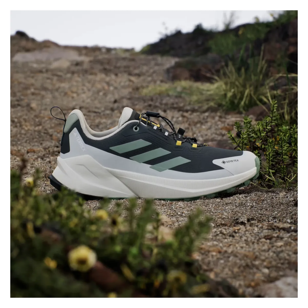 adidas Terrex Trailmaker 2 Gore-Tex National Geographic Carbon Silver Green Orbit Grey
