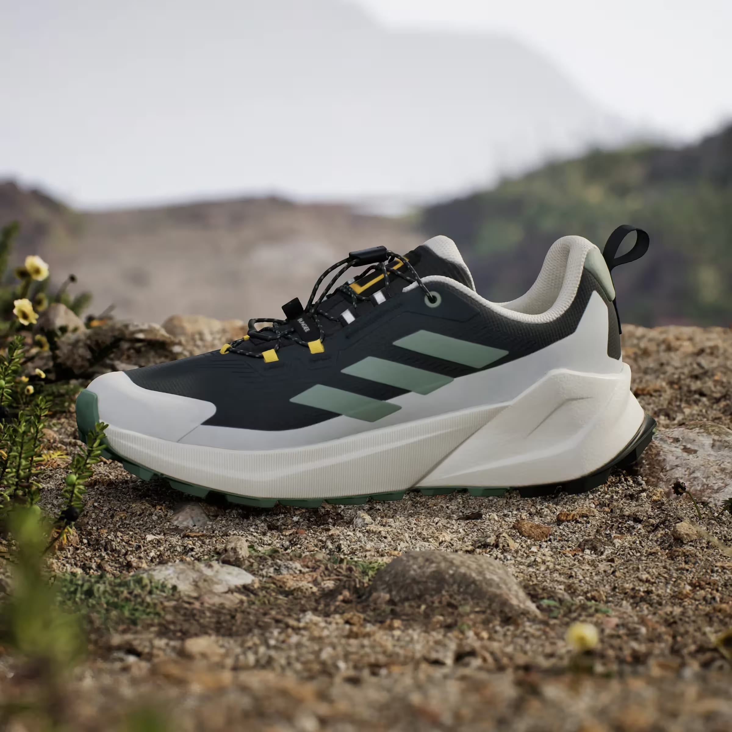 adidas Terrex Trailmaker 2 Gore-Tex National Geographic Carbon Silver Green Orbit Grey
