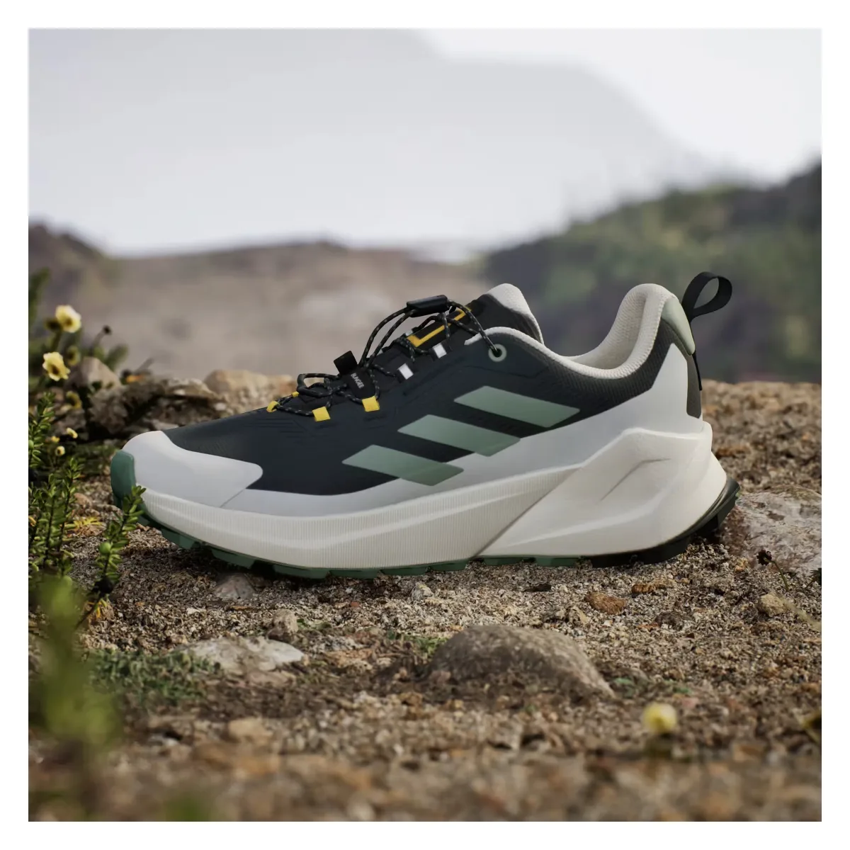 adidas Terrex Trailmaker 2 Gore-Tex National Geographic Carbon Silver Green Orbit Grey