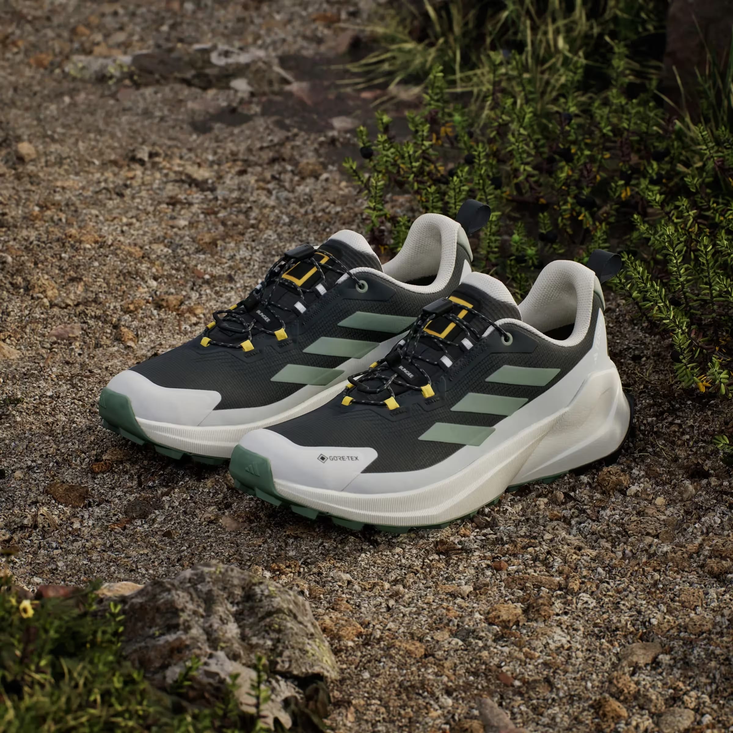 adidas Terrex Trailmaker 2 Gore-Tex National Geographic Carbon Silver Green Orbit Grey