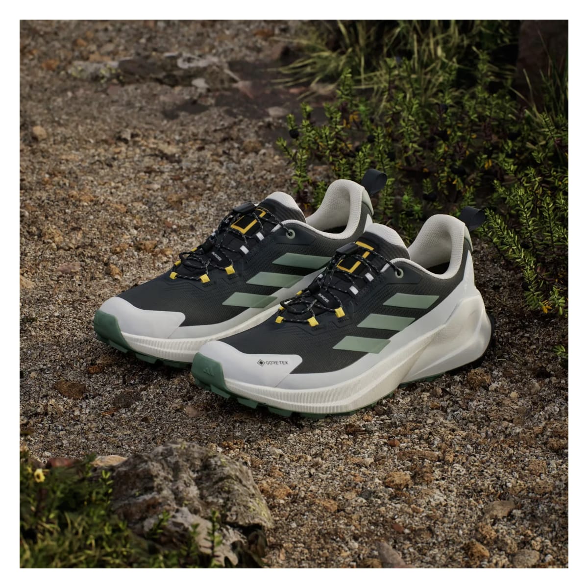 adidas Terrex Trailmaker 2 Gore-Tex National Geographic Carbon Silver Green Orbit Grey