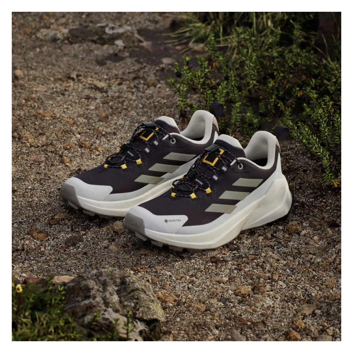 adidas Terrex Trailmaker 2 Gore-Tex National Geographic Aurora Black Putty Beige Orbit Grey (Women's)