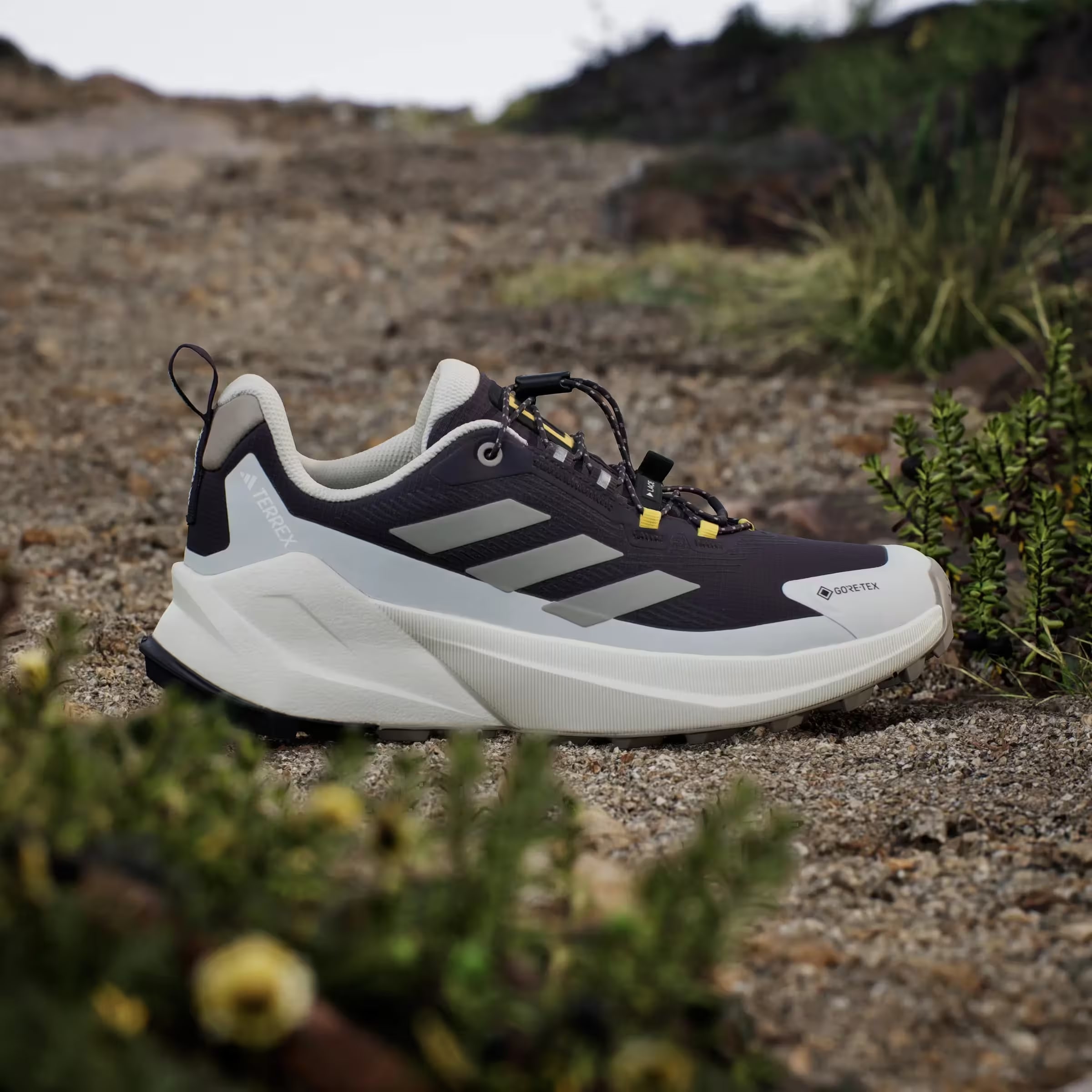 adidas Terrex Trailmaker 2 Gore-Tex National Geographic Aurora Black Putty Beige Orbit Grey (Women's)