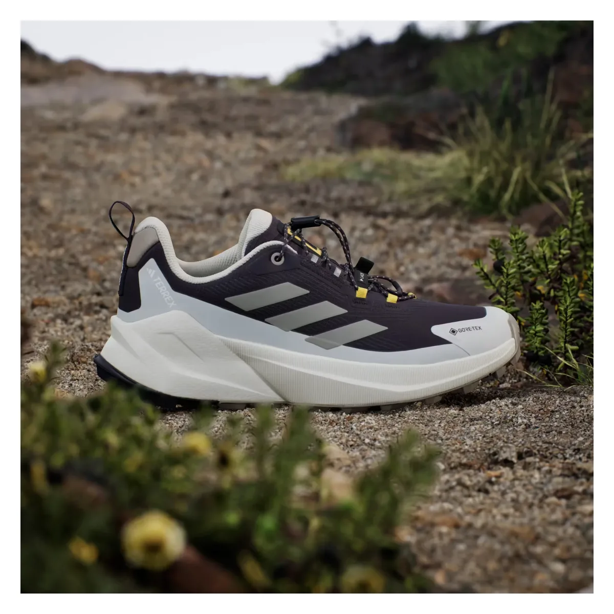 adidas Terrex Trailmaker 2 Gore-Tex National Geographic Aurora Black Putty Beige Orbit Grey (Women's)