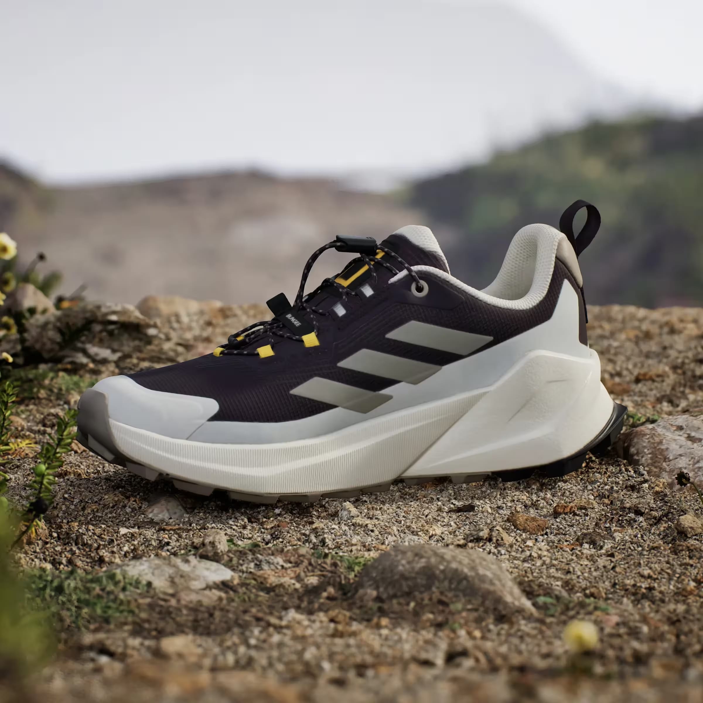 adidas Terrex Trailmaker 2 Gore-Tex National Geographic Aurora Black Putty Beige Orbit Grey (Women's)