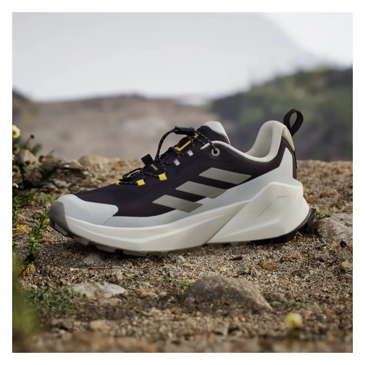 adidas Terrex Trailmaker 2 Gore-Tex National Geographic Aurora Black Putty Beige Orbit Grey (Women's)