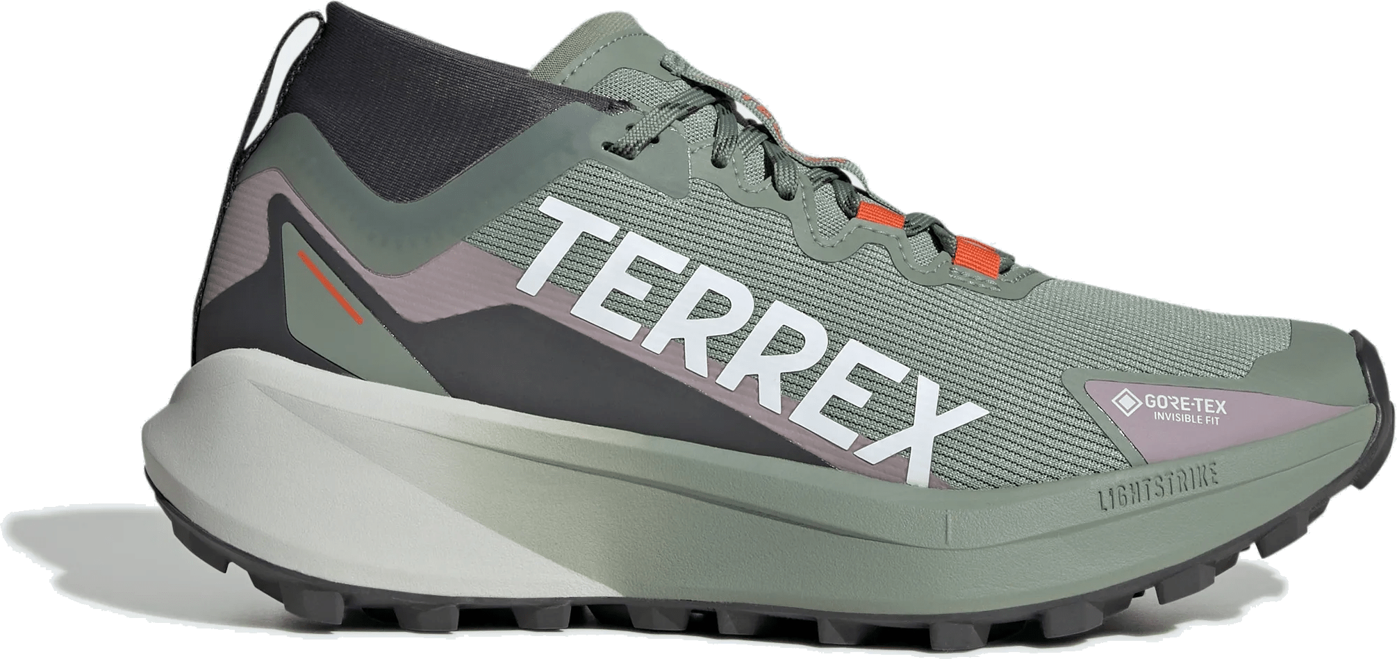 adidas Terrex Agravic Gore-Tex Trail Silver Green Cloud White Preloved Fig (Women's)