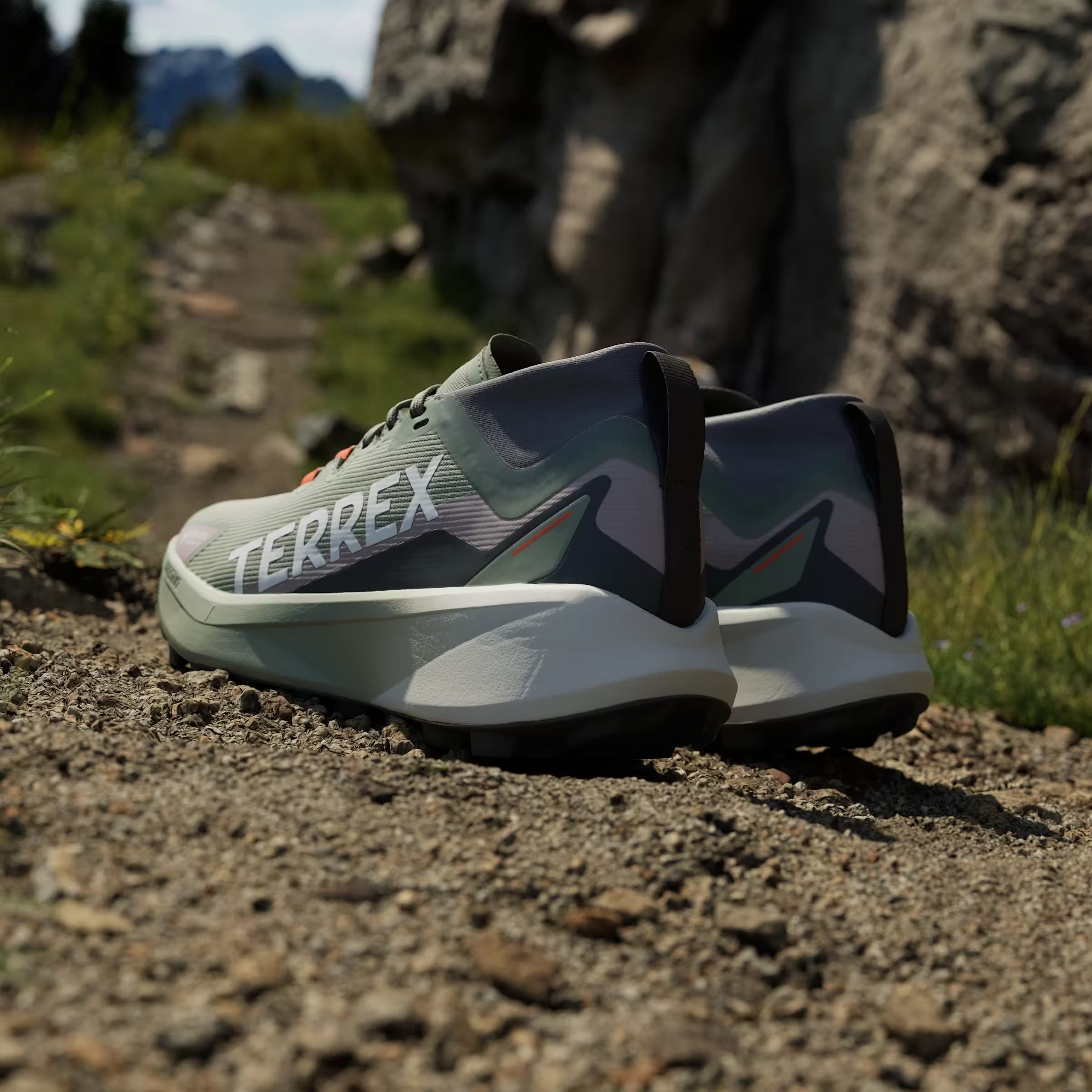 adidas Terrex Agravic Gore-Tex Trail Silver Green Cloud White Preloved Fig (Women's)