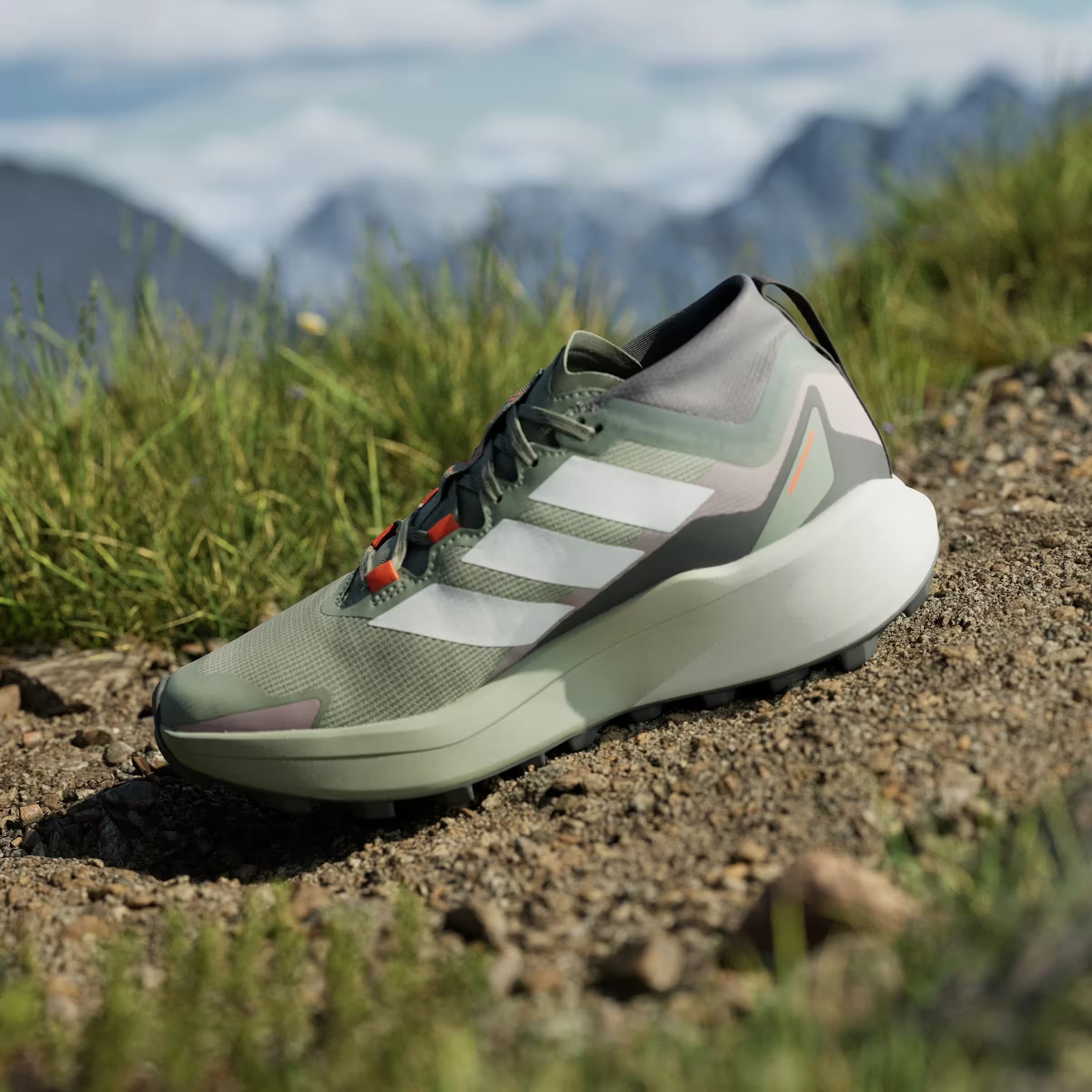 adidas Terrex Agravic Gore-Tex Trail Silver Green Cloud White Preloved Fig (Women's)