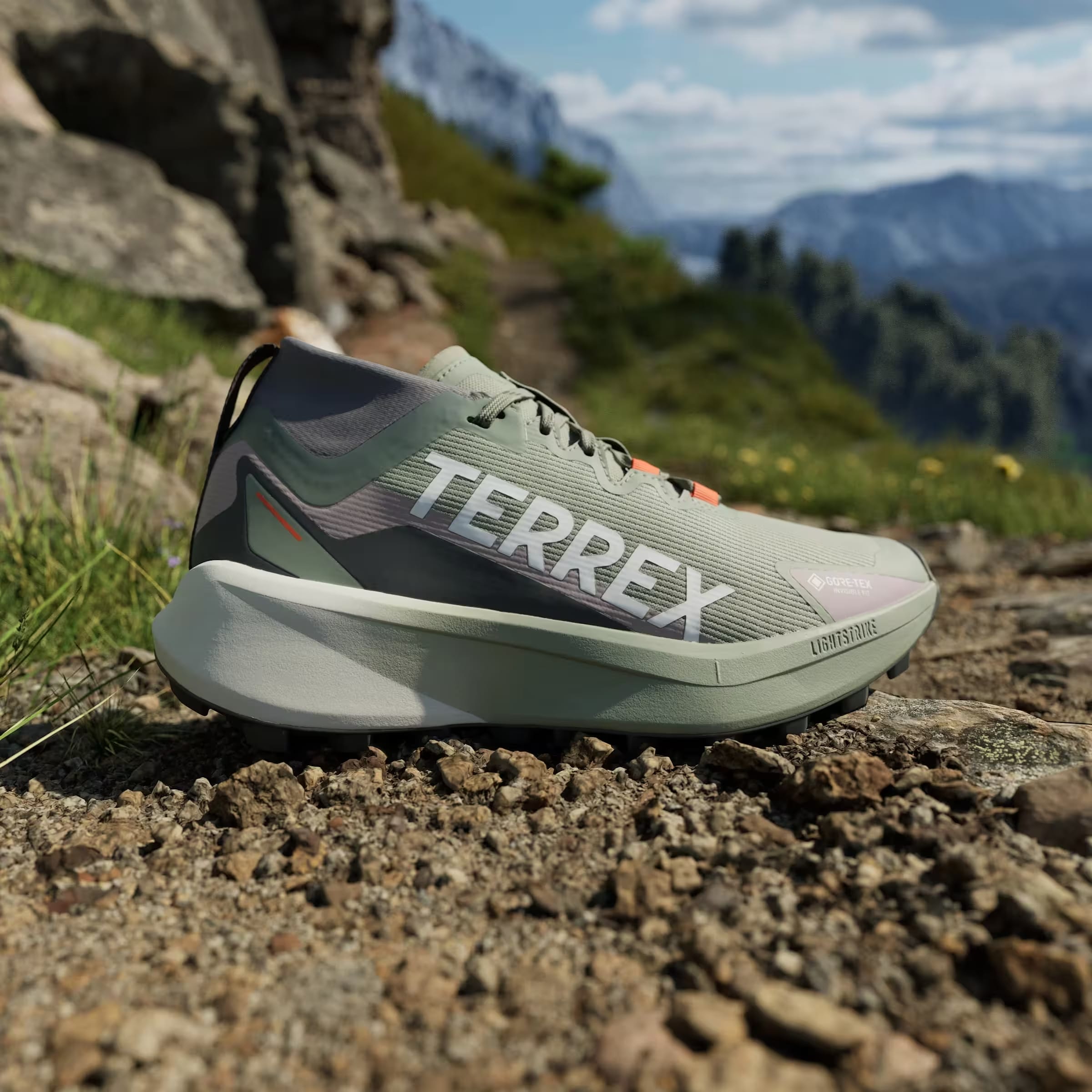 adidas Terrex Agravic Gore-Tex Trail Silver Green Cloud White Preloved Fig (Women's)