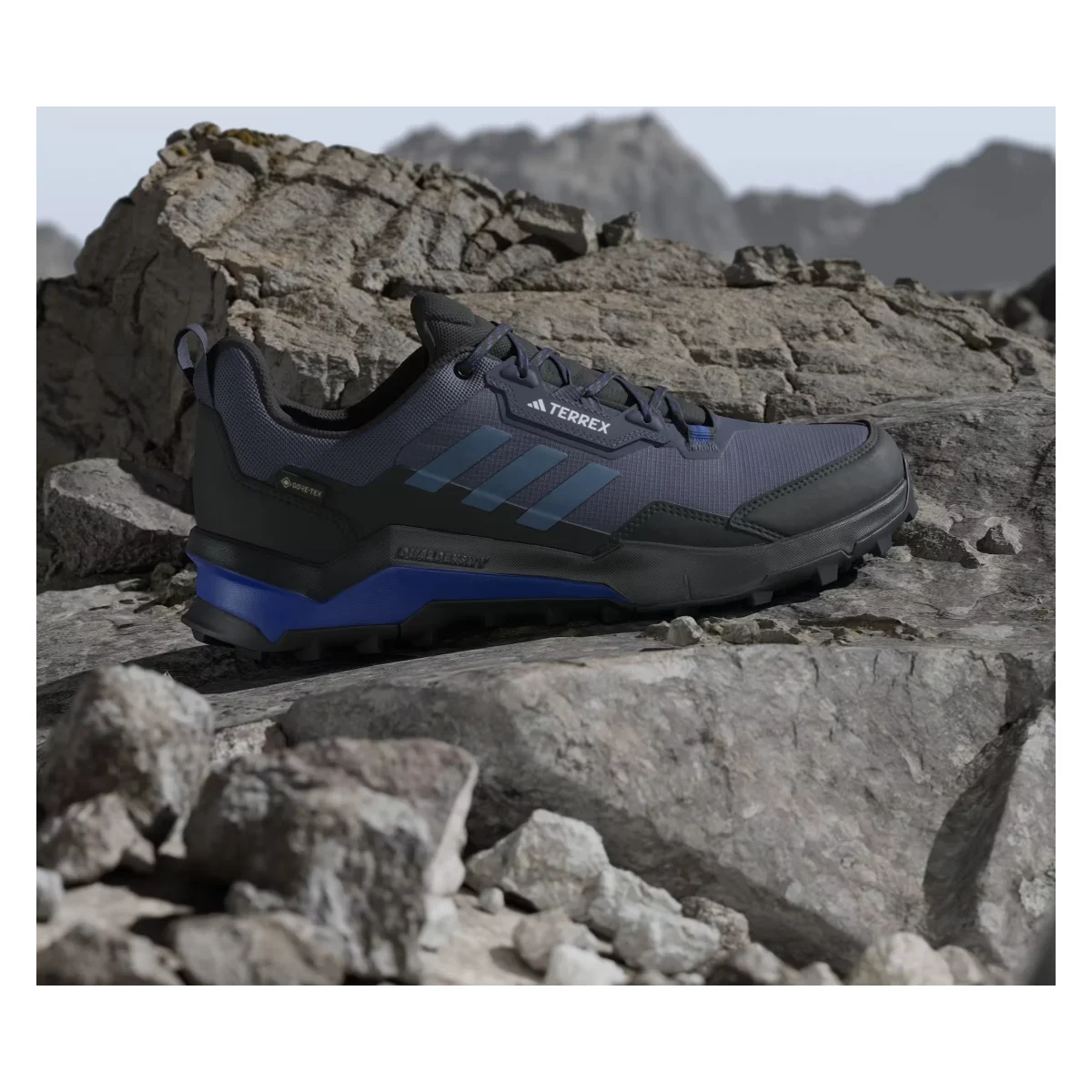 adidas Terrex AX4 Gore-Tex Shadow Navy Wonder Steel Semi Lucid Blue