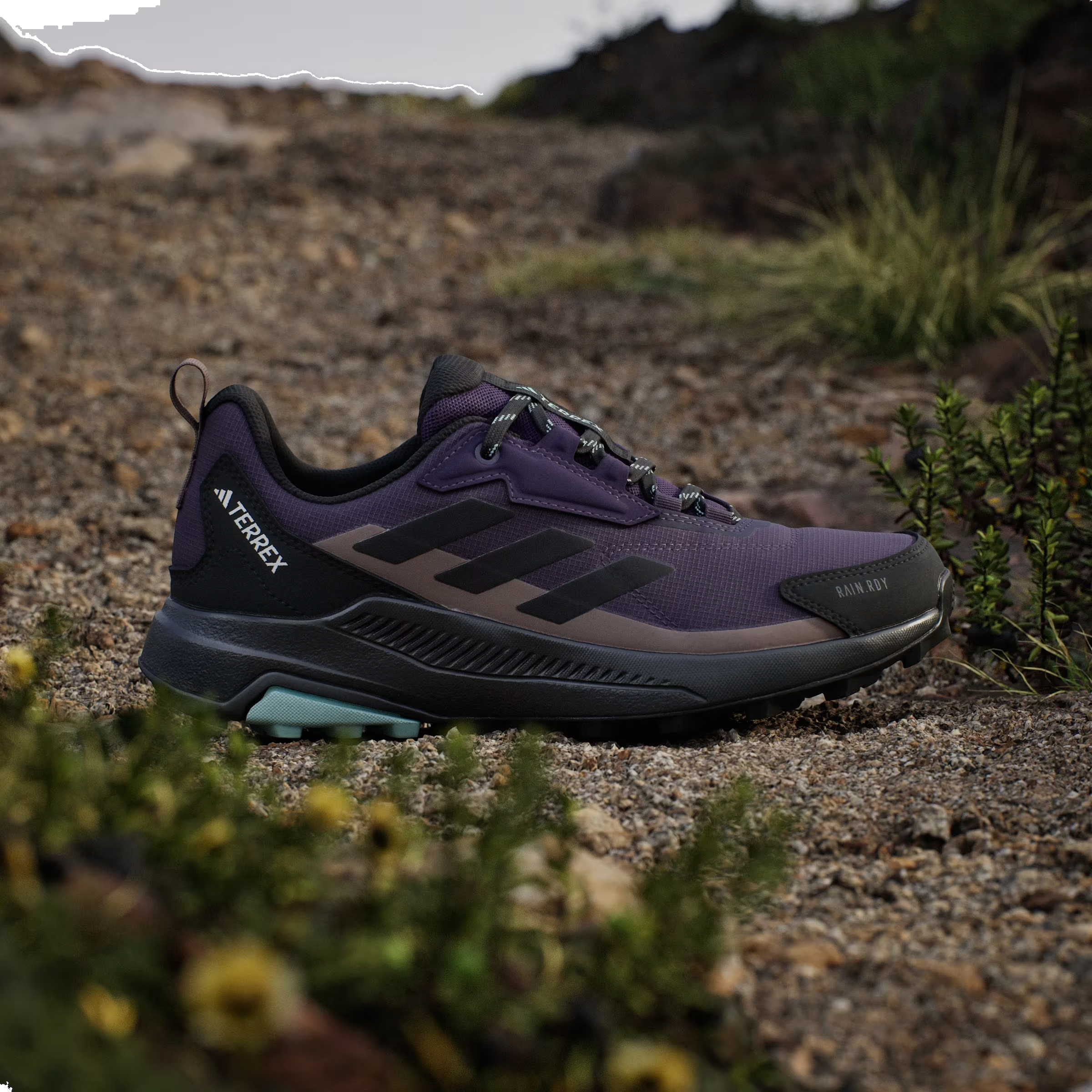 adidas Terrex Anylander Rain.RDY Aurora Plum Core Black Trace Brown (Women's)