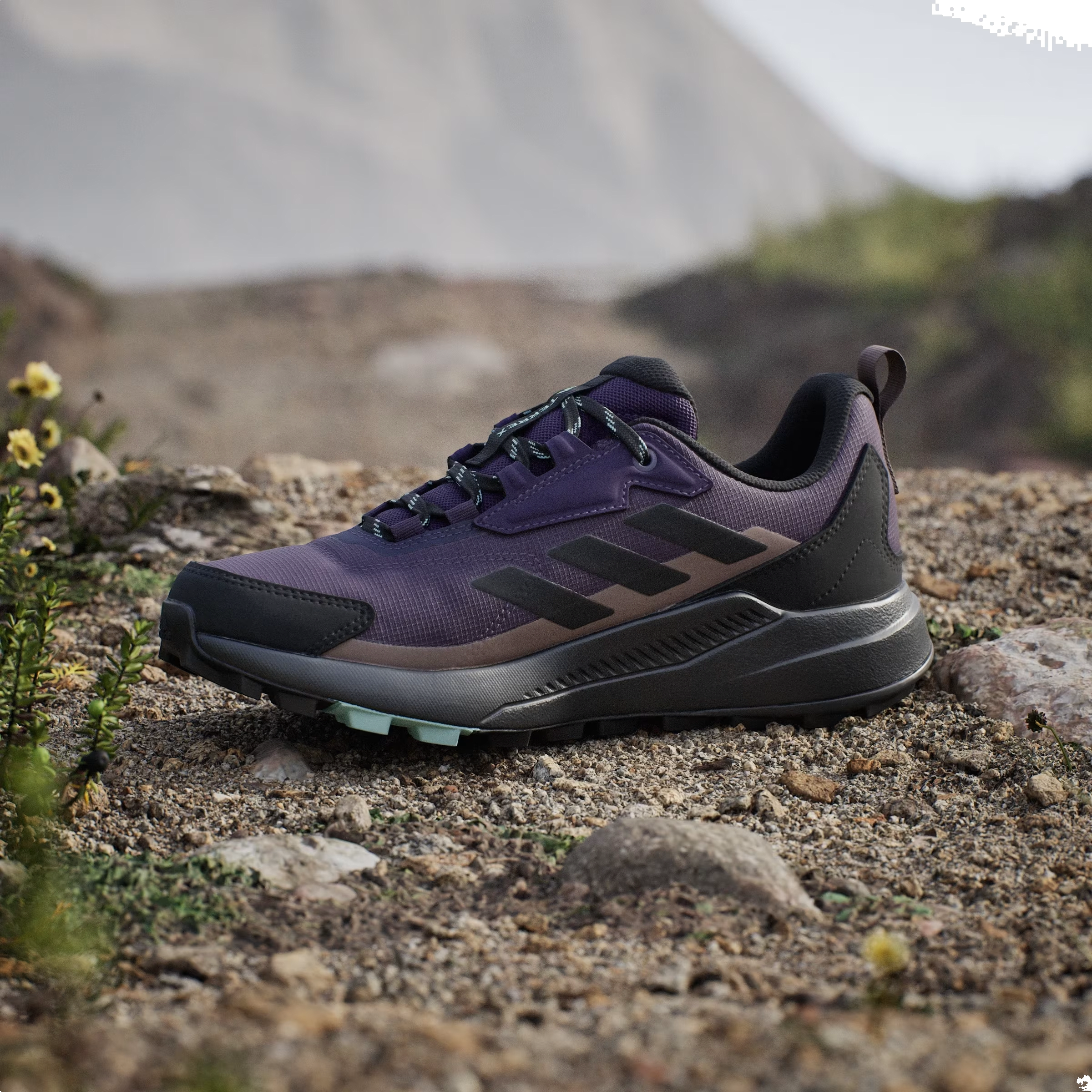 adidas Terrex Anylander Rain.RDY Aurora Plum Core Black Trace Brown (Women's)