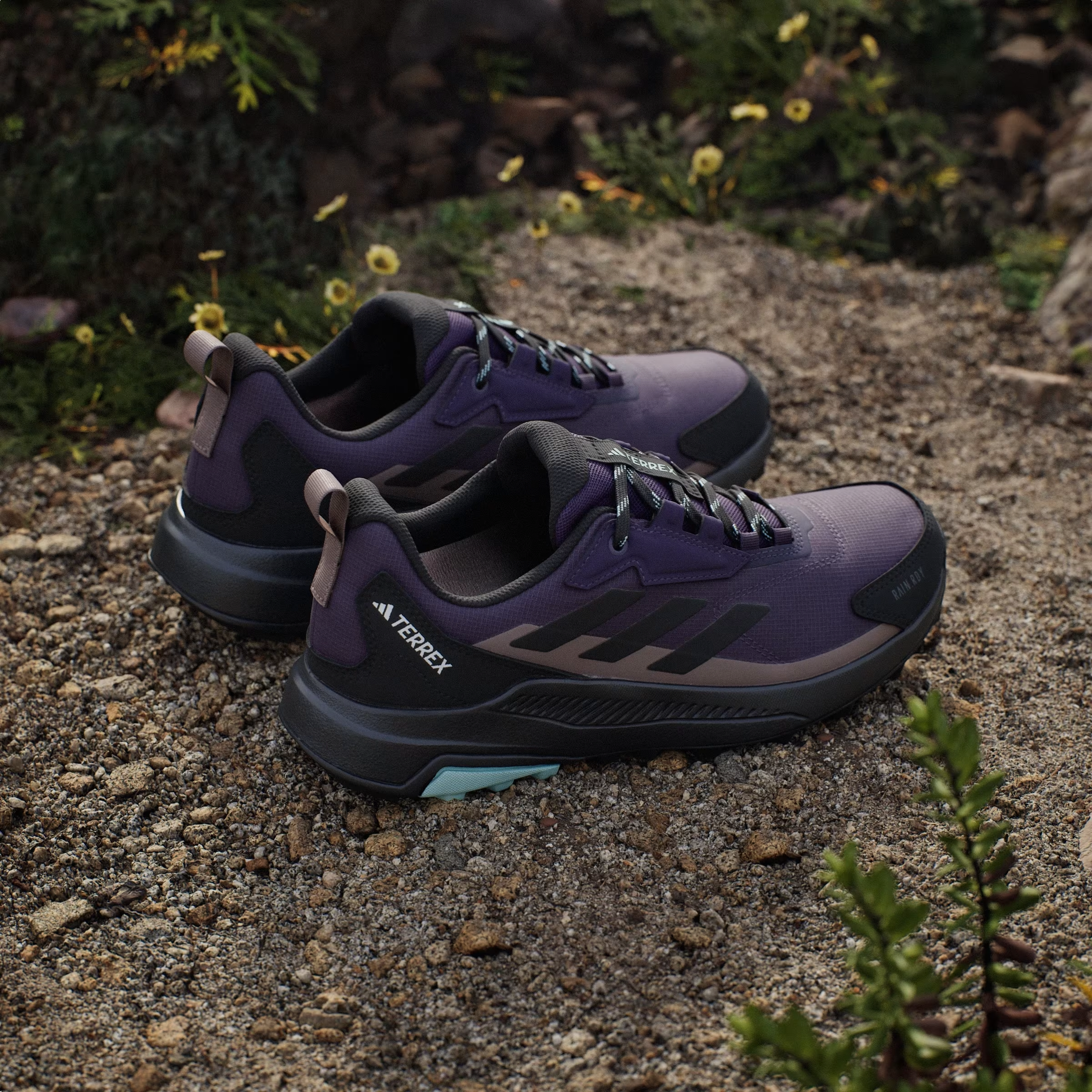 adidas Terrex Anylander Rain.RDY Aurora Plum Core Black Trace Brown (Women's)