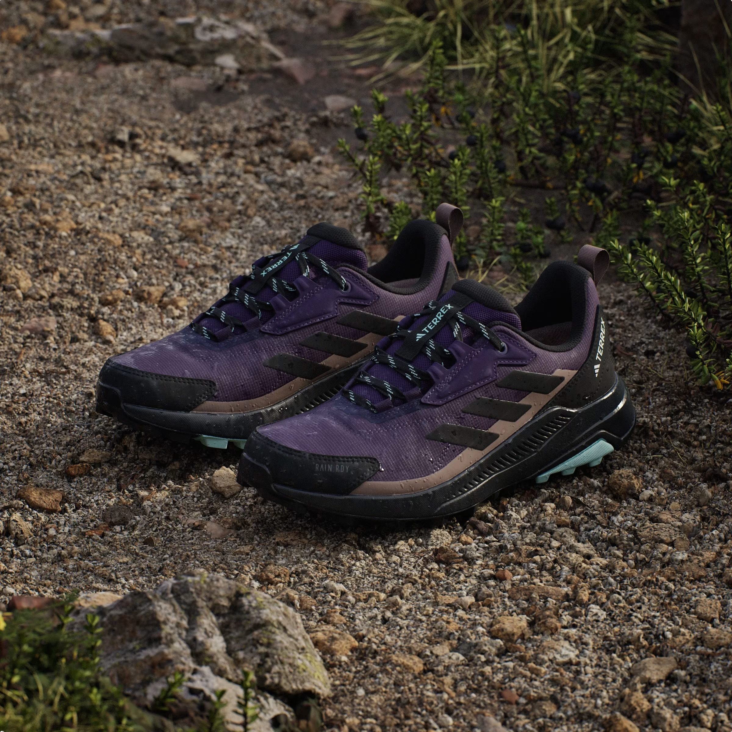 adidas Terrex Anylander Rain.RDY Aurora Plum Core Black Trace Brown (Women's)