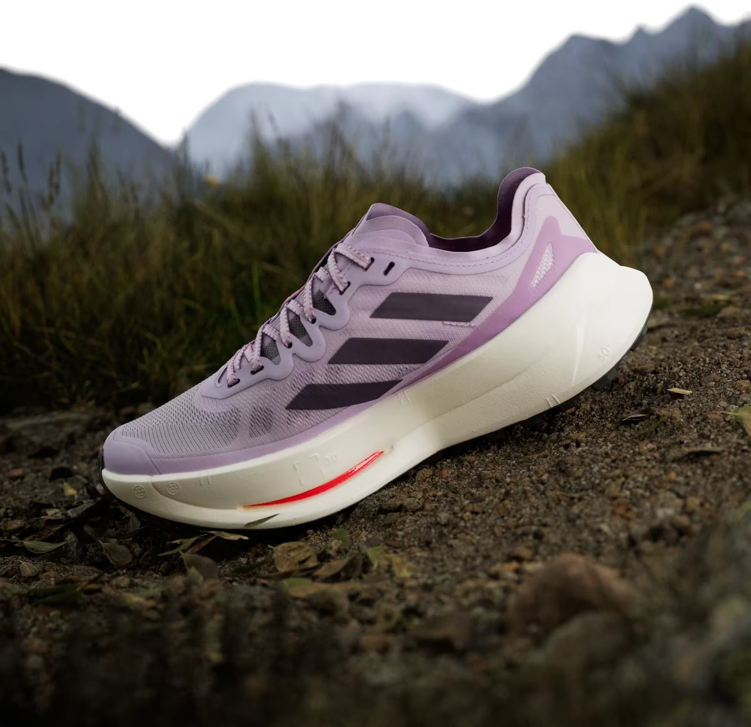 adidas Terrex Agravic Speed Ultra Trail Powder Plum Aurora Plum Lucid Red (Women's)