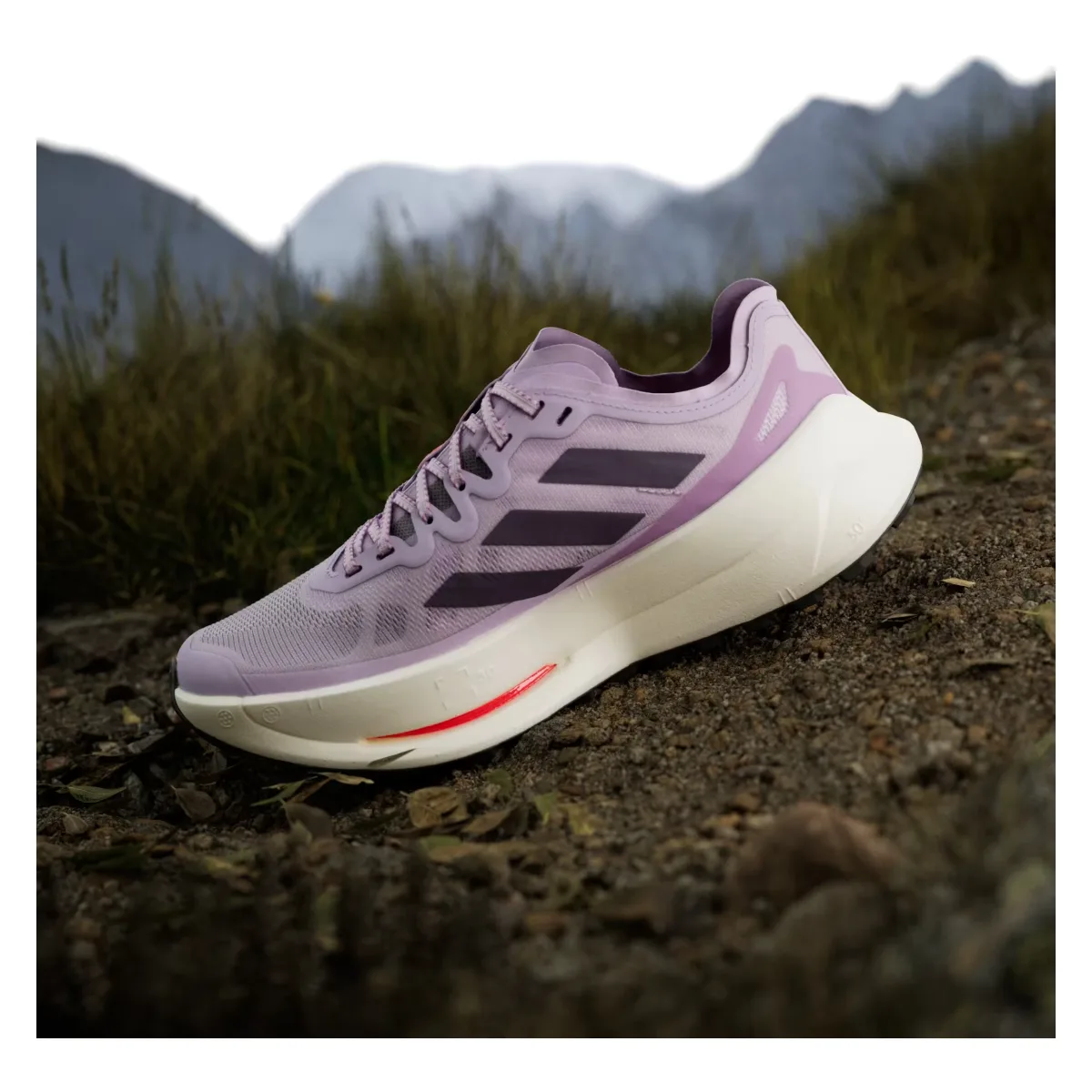 adidas Terrex Agravic Speed Ultra Trail Powder Plum Aurora Plum Lucid Red (Women's)