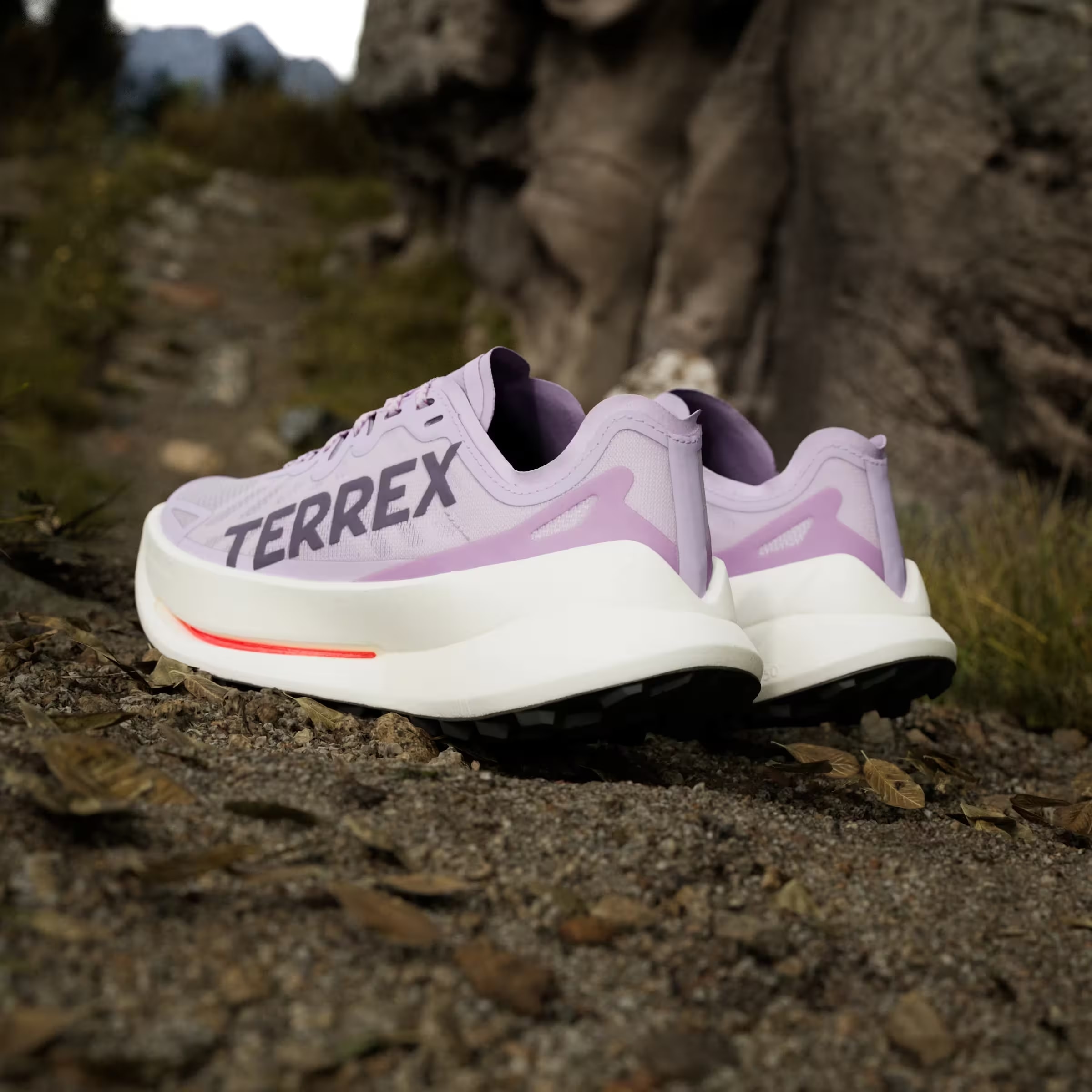 adidas Terrex Agravic Speed Ultra Trail Powder Plum Aurora Plum Lucid Red (Women's)