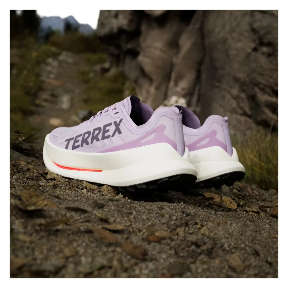adidas Terrex Agravic Speed Ultra Trail Powder Plum Aurora Plum Lucid Red (Women's)