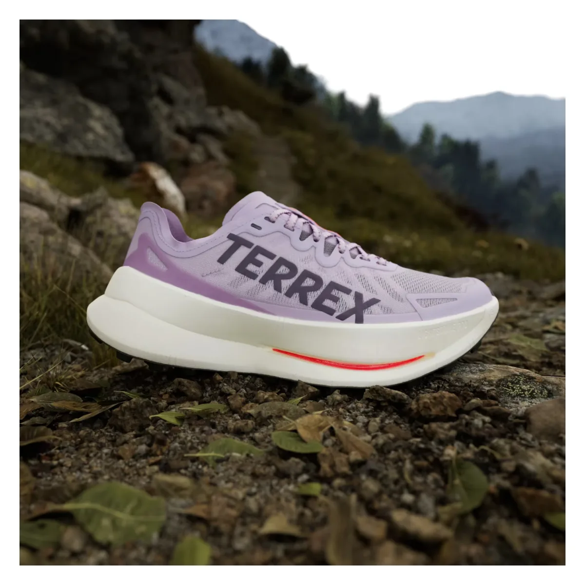 adidas Terrex Agravic Speed Ultra Trail Powder Plum Aurora Plum Lucid Red (Women's)