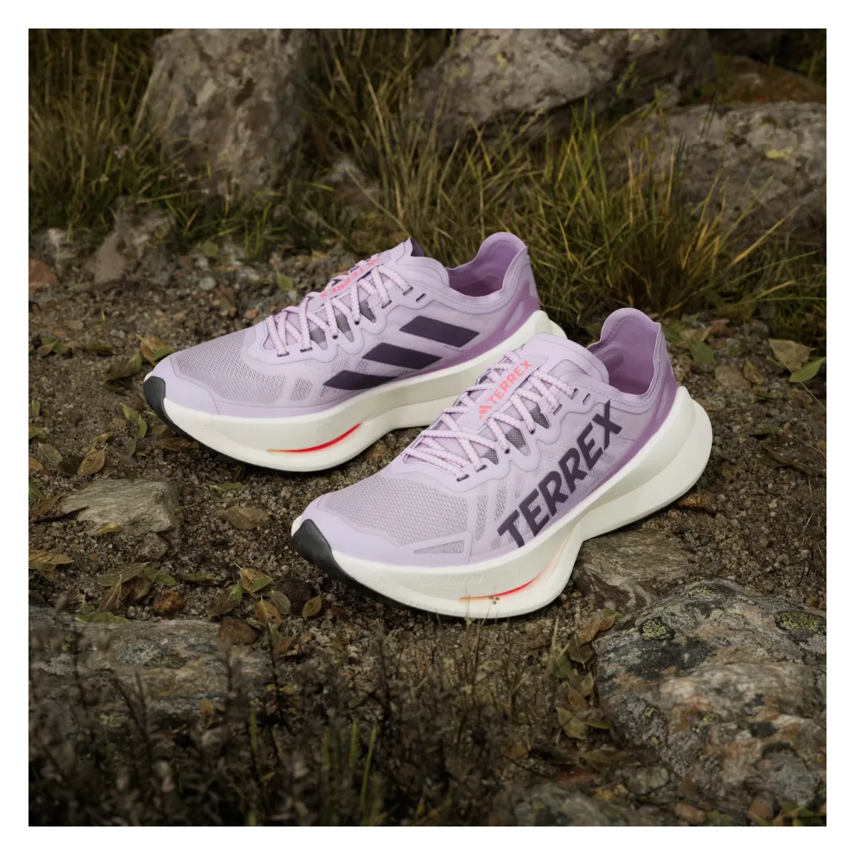 adidas Terrex Agravic Speed Ultra Trail Powder Plum Aurora Plum Lucid Red (Women's)