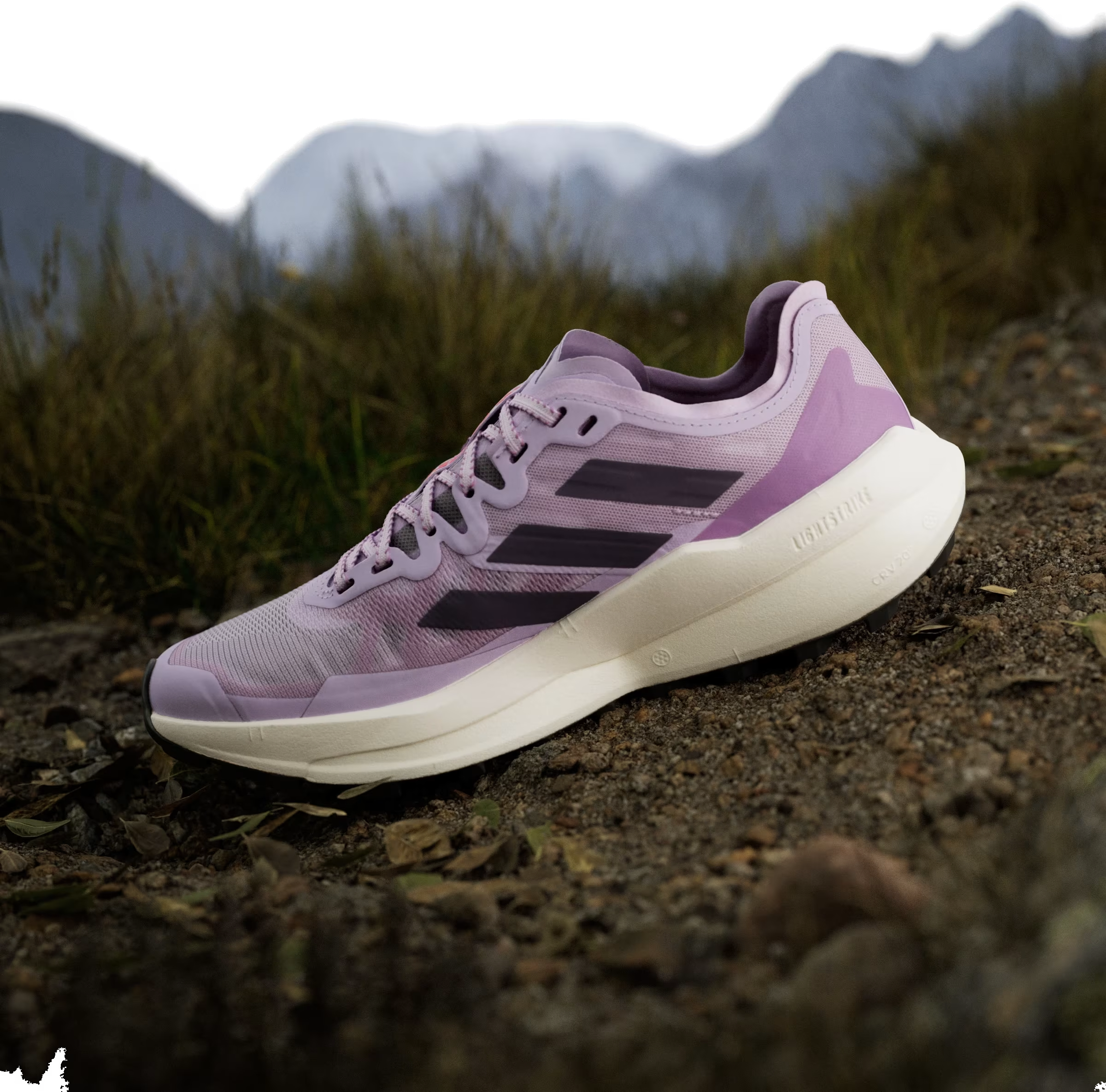 adidas Terrex Agravic Speed Trail Powder Plum Aurora Plum Lucid Red (Women's)