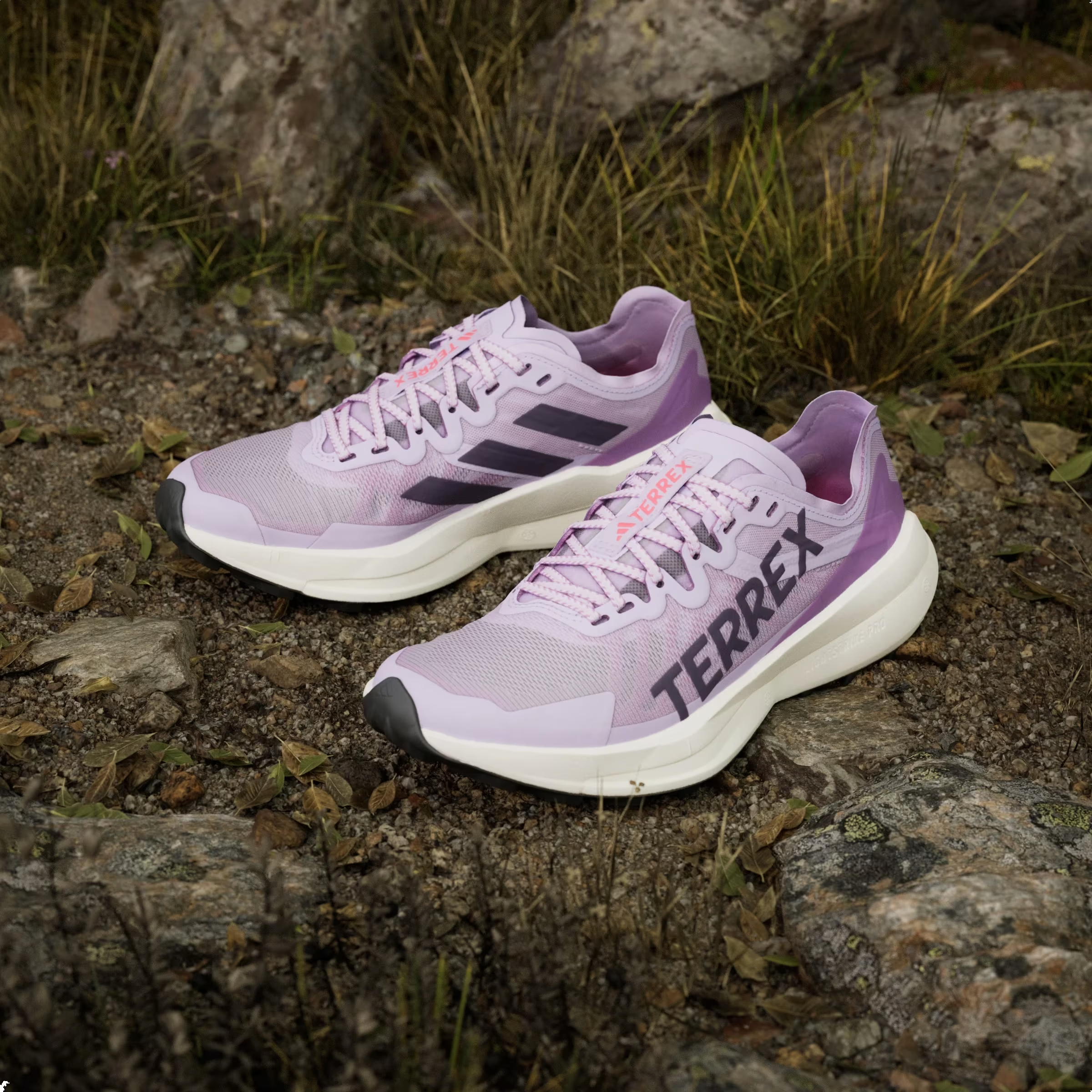 adidas Terrex Agravic Speed Trail Powder Plum Aurora Plum Lucid Red (Women's)
