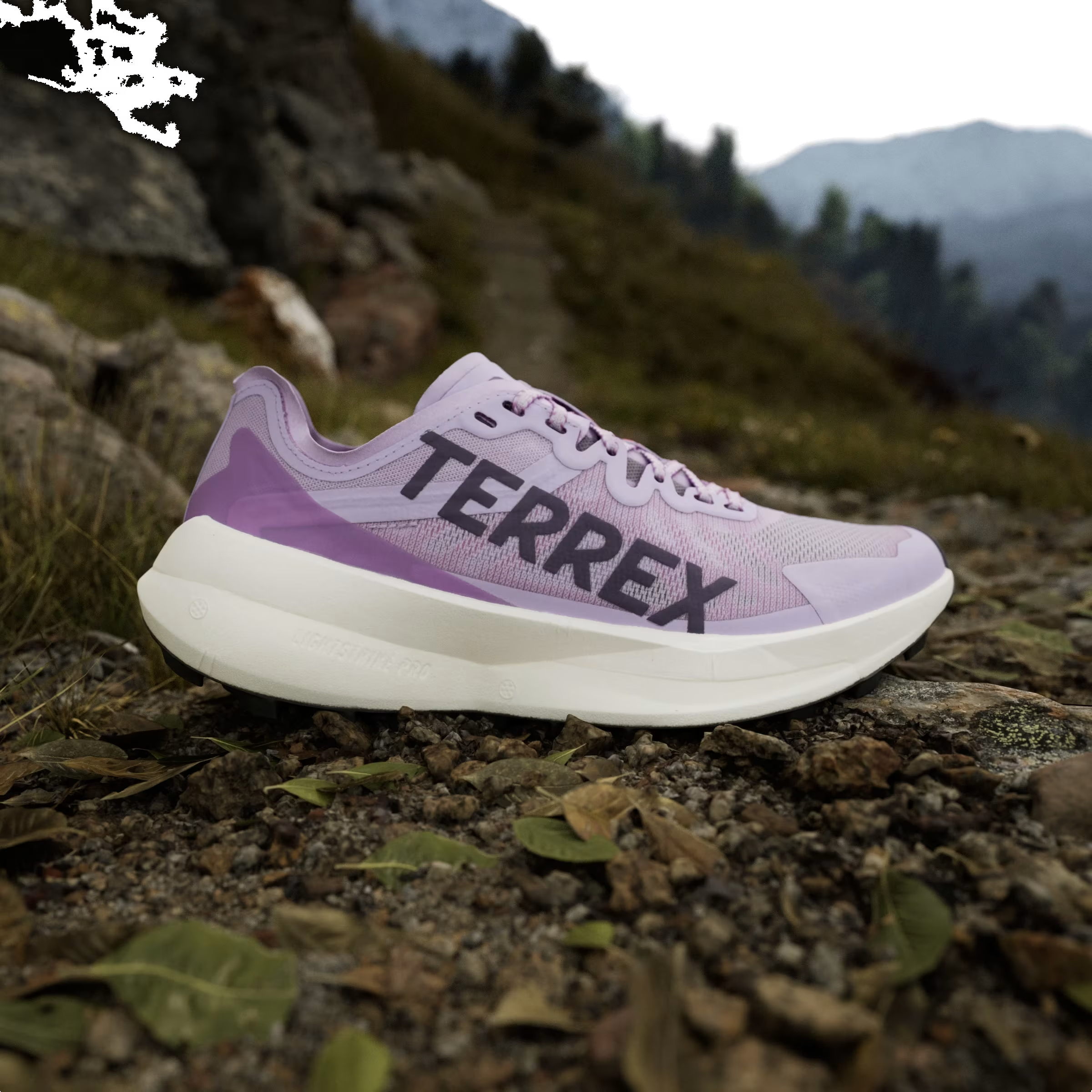 adidas Terrex Agravic Speed Trail Powder Plum Aurora Plum Lucid Red (Women's)