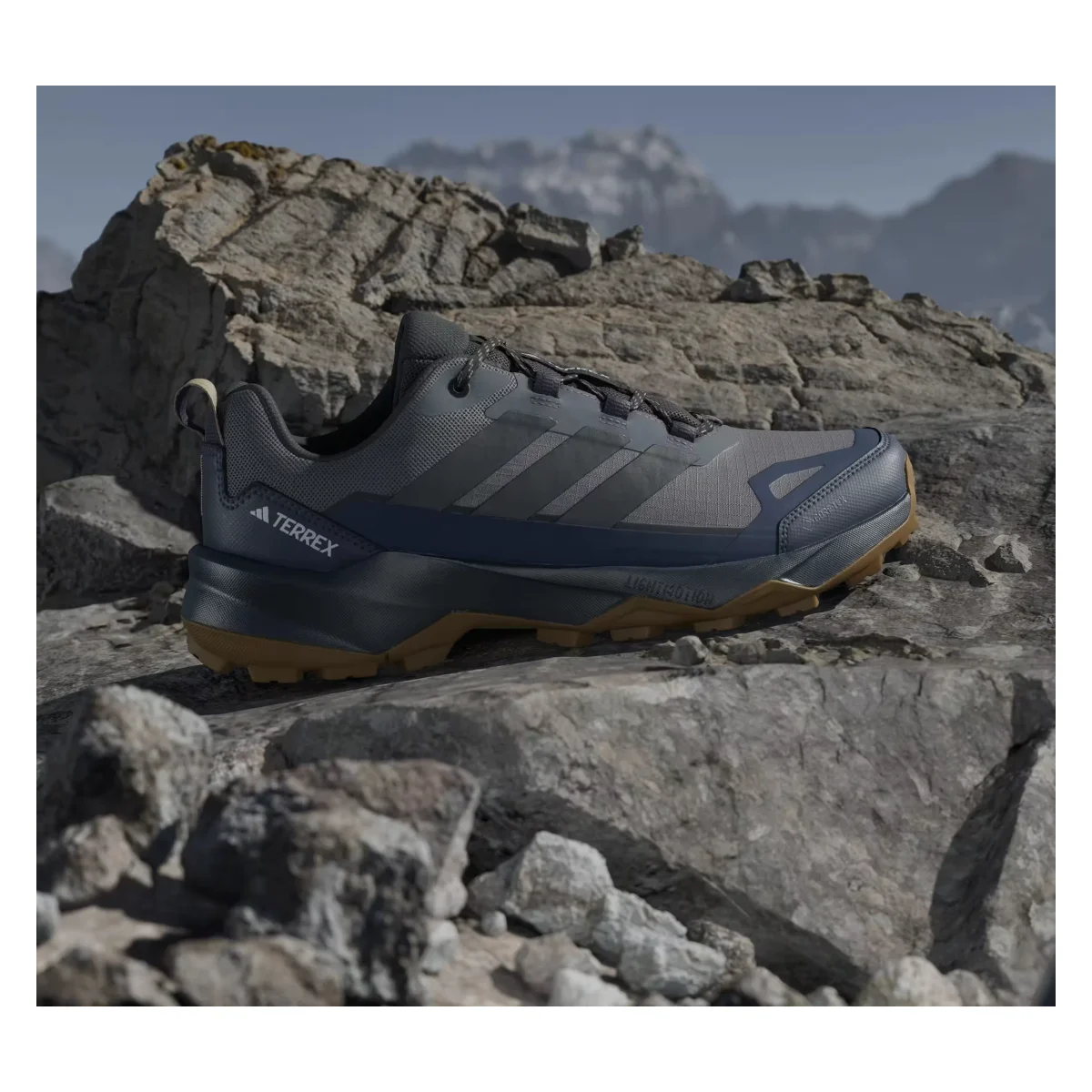 adidas Terrex Skychaser AX5 Gore-Tex Grey Four Carbon Shadow Navy