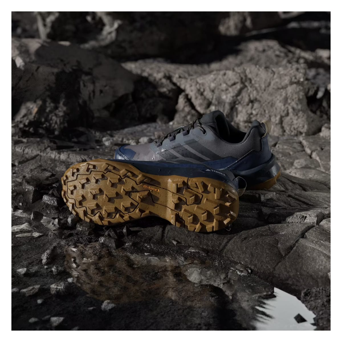 adidas Terrex Skychaser AX5 Gore-Tex Grey Four Carbon Shadow Navy