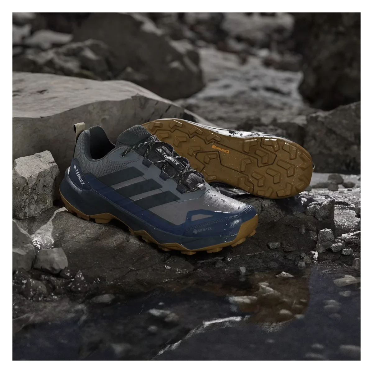 adidas Terrex Skychaser AX5 Gore-Tex Grey Four Carbon Shadow Navy