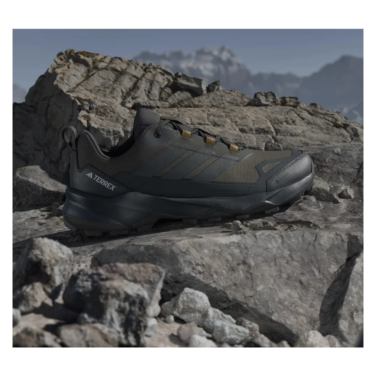 adidas Terrex Skychaser AX5 Gore-Tex Shadow Olive Carbon Bronze Strata