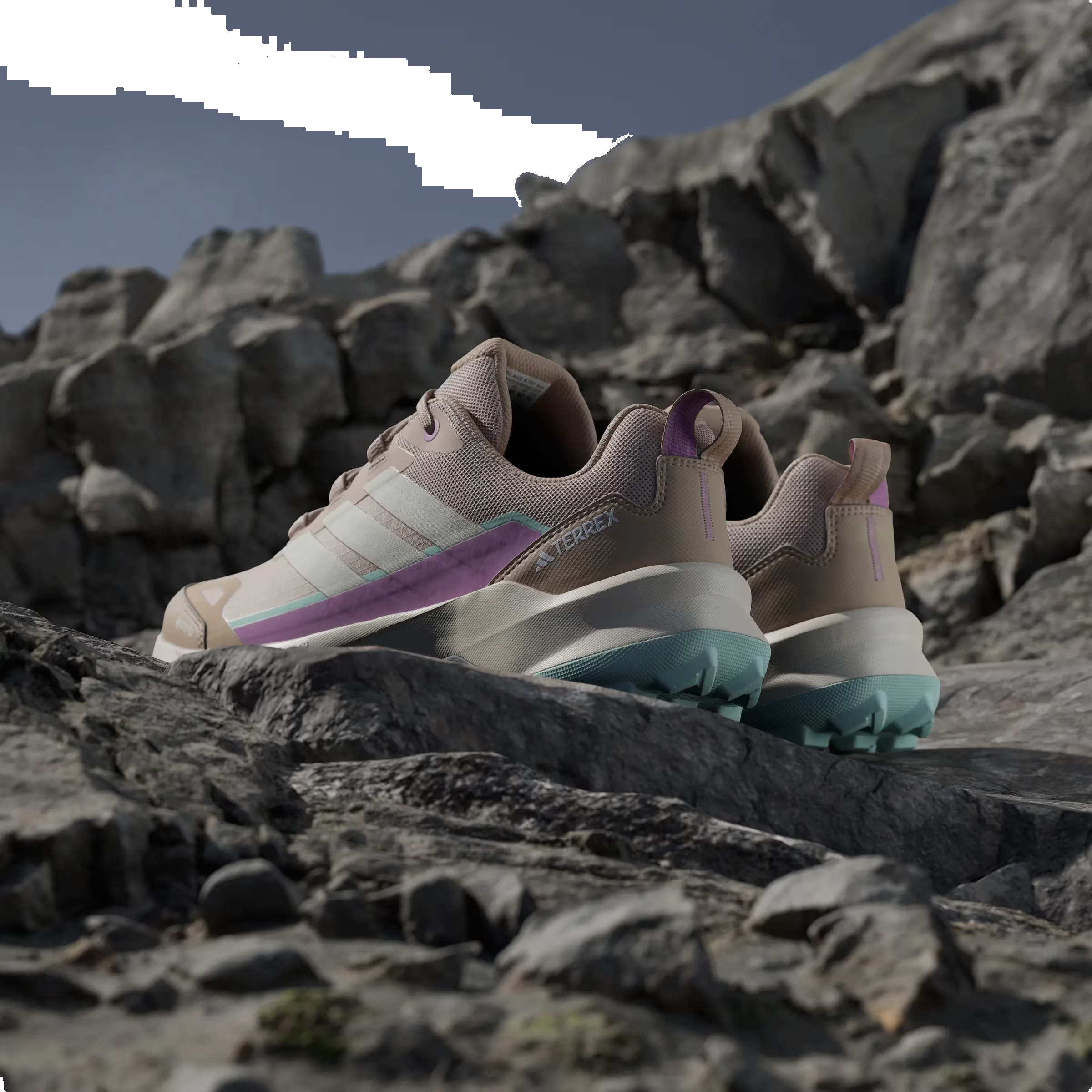adidas Terrex Skychaser AX5 Gore-Tex Wonder Taupe Preloved Purple (Women's)