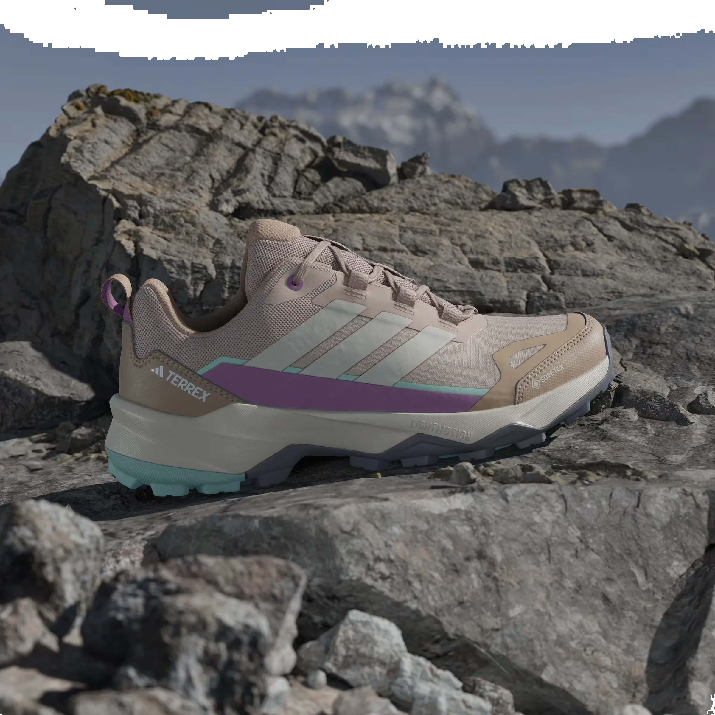 adidas Terrex Skychaser AX5 Gore-Tex Wonder Taupe Preloved Purple (Women's)