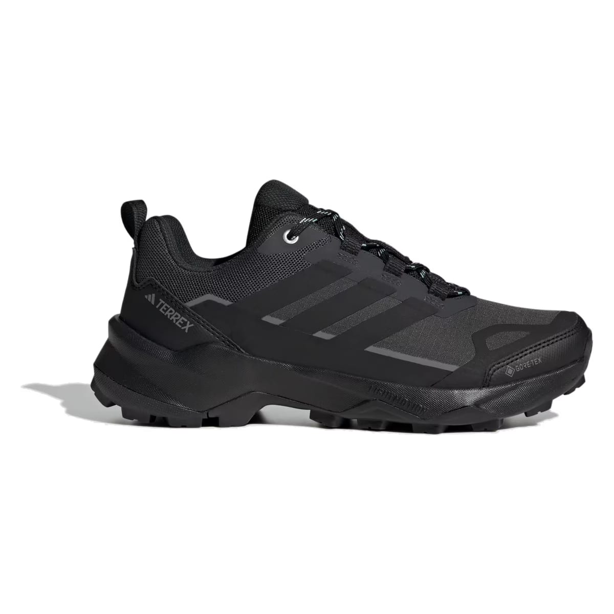 adidas Terrex Skychaser AX5 Gore-Tex Carbon Core Black Semi Flash Aqua (Women's)