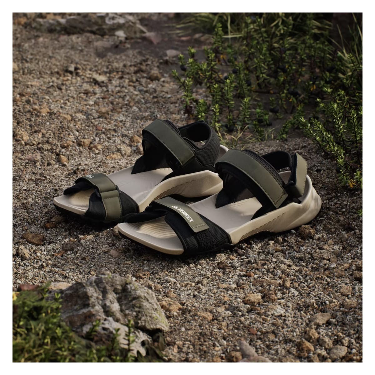 adidas Terrex Hydroterra Sandals Olive Strata Core Black Wonder Beige