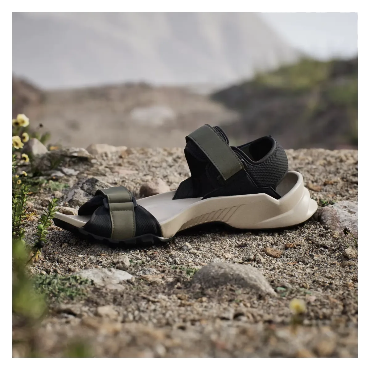 adidas Terrex Hydroterra Sandals Olive Strata Core Black Wonder Beige