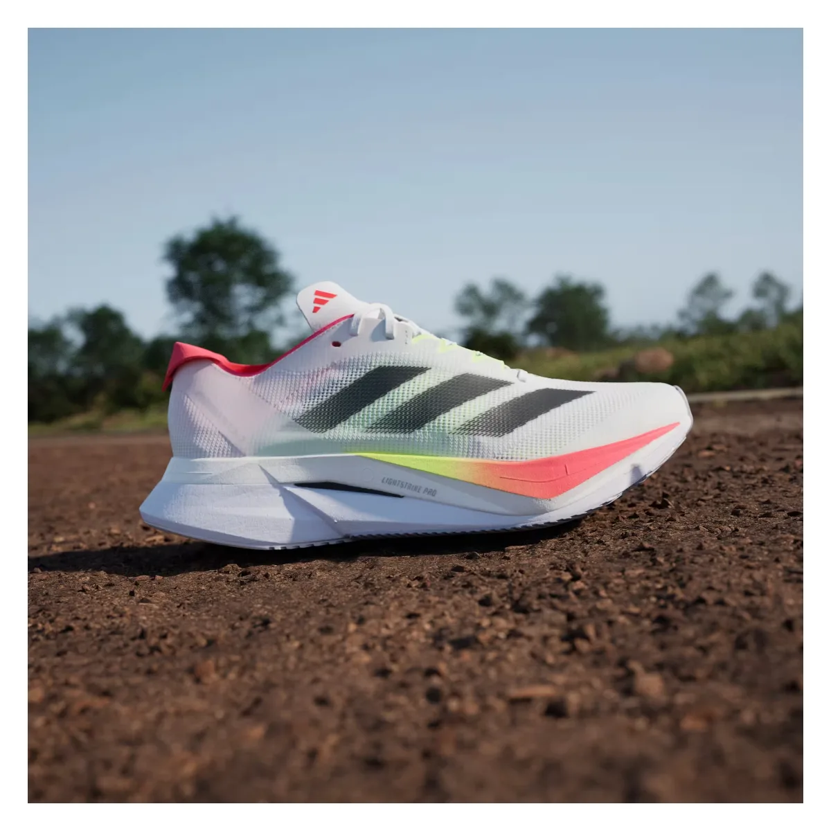 adidas Adizero Boston 12 Cloud White Core Black Lucid Red (Women's)