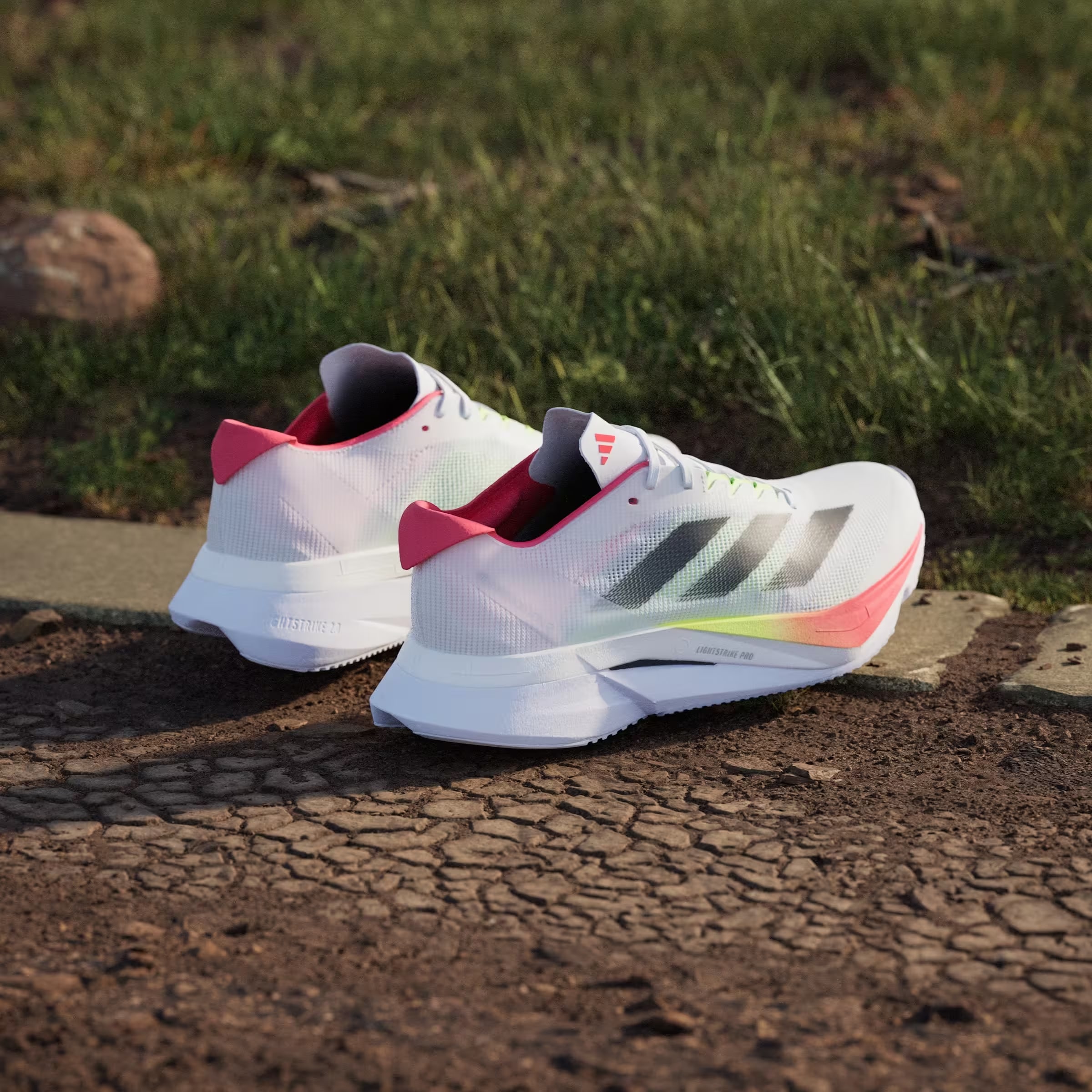 adidas Adizero Boston 12 Cloud White Core Black Lucid Red (Women's)