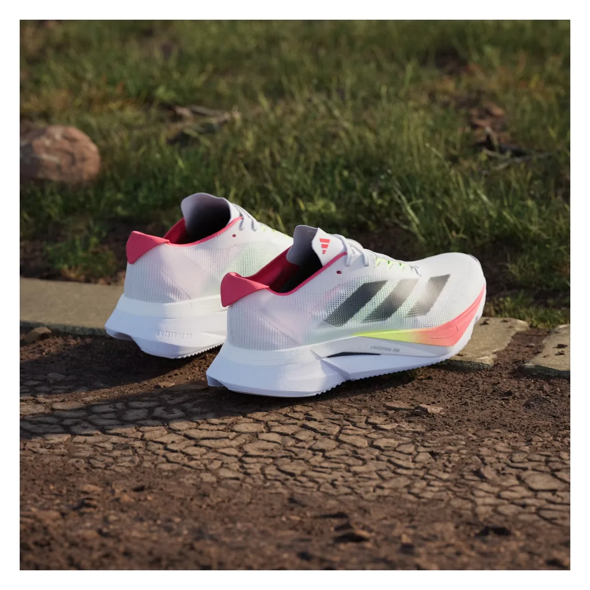 adidas Adizero Boston 12 Cloud White Core Black Lucid Red (Women's)