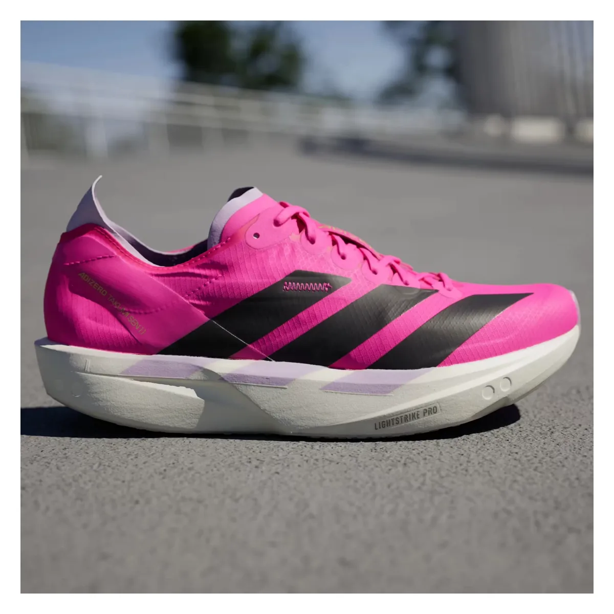 adidas Adizero Takumi Sen 10 Shock Pink Powder Plum (Women's)