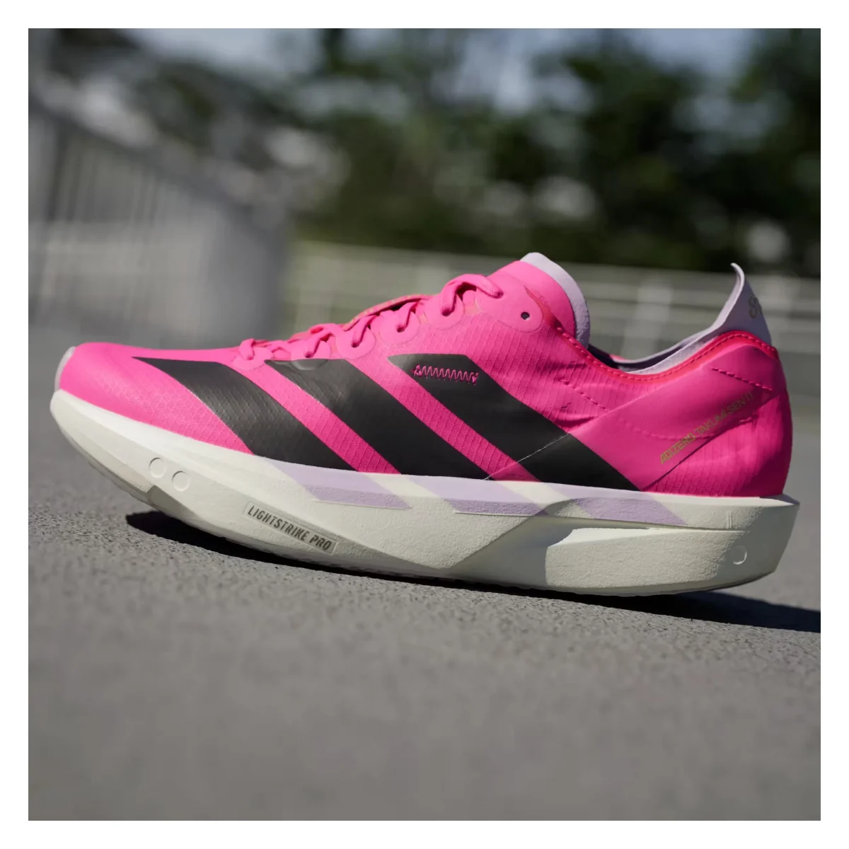 adidas Adizero Takumi Sen 10 Shock Pink Powder Plum (Women's)