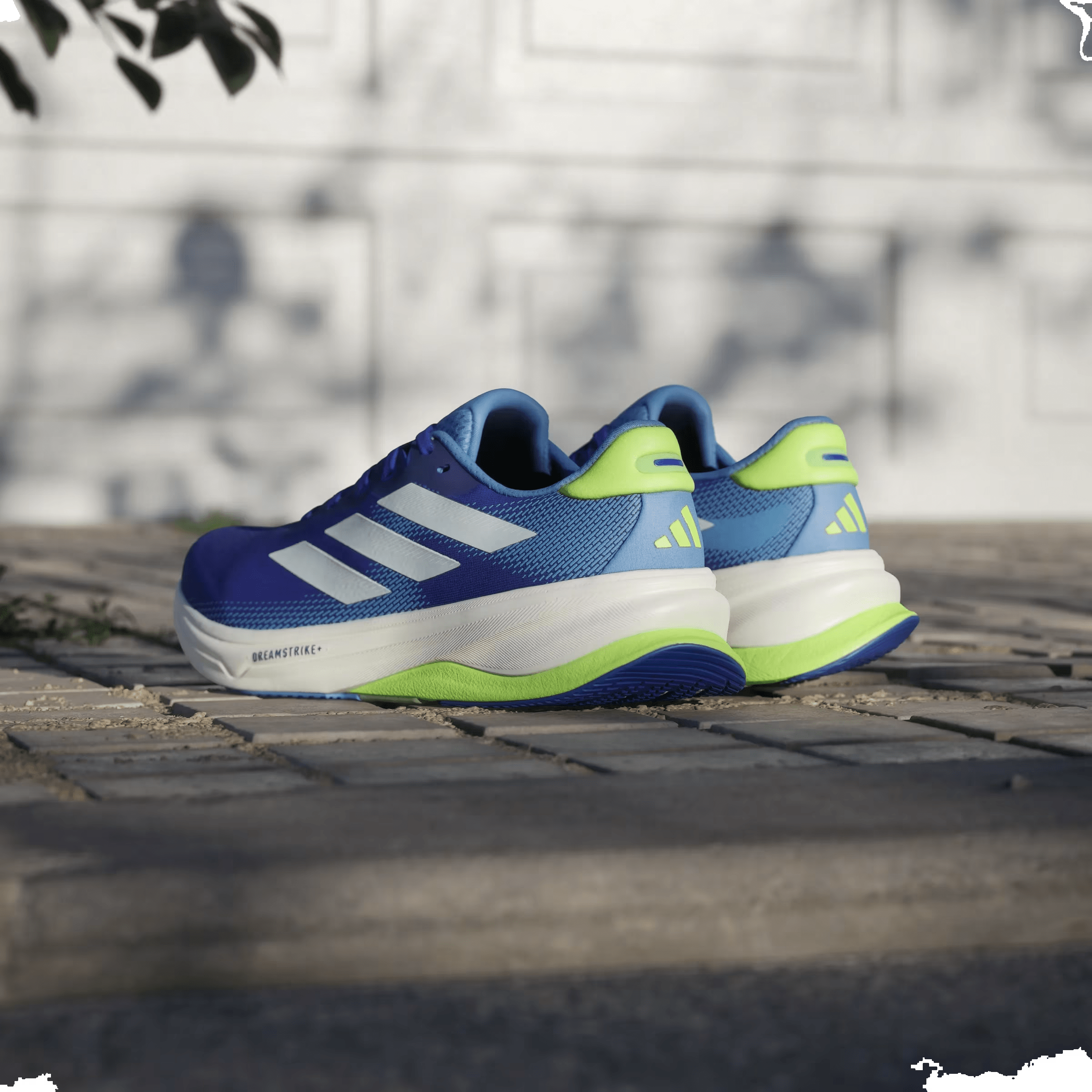 adidas Supernova Solution 2.0 Lucid Blue Zero Metalic Lucid Lemon