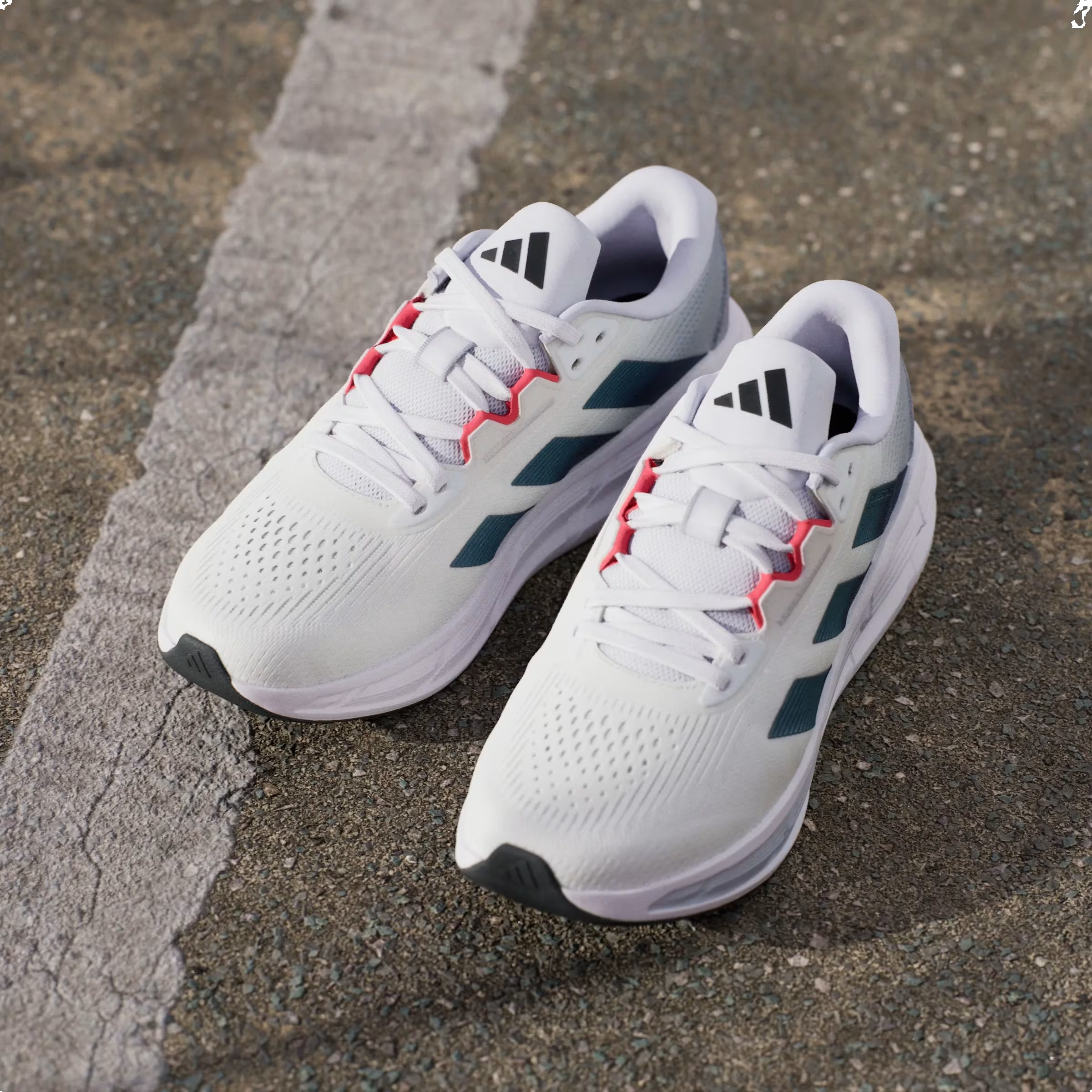 adidas Questar 3 Cloud White Core Black Pure Ruby