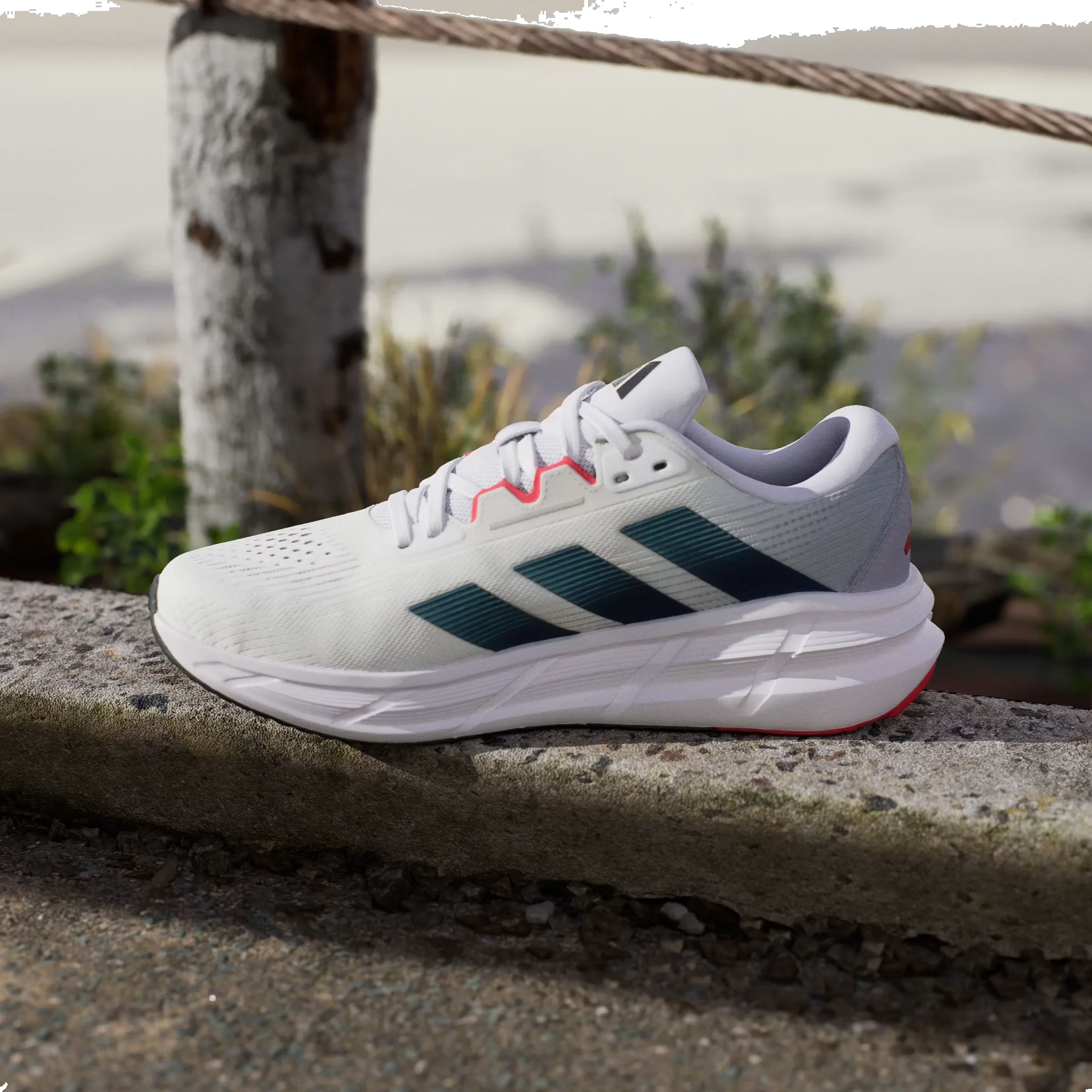 adidas Questar 3 Cloud White Core Black Pure Ruby