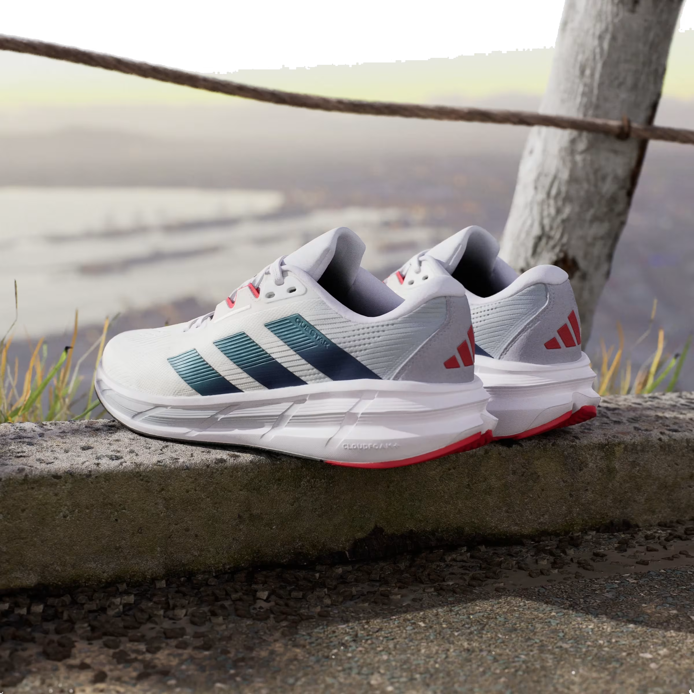 adidas Questar 3 Cloud White Core Black Pure Ruby