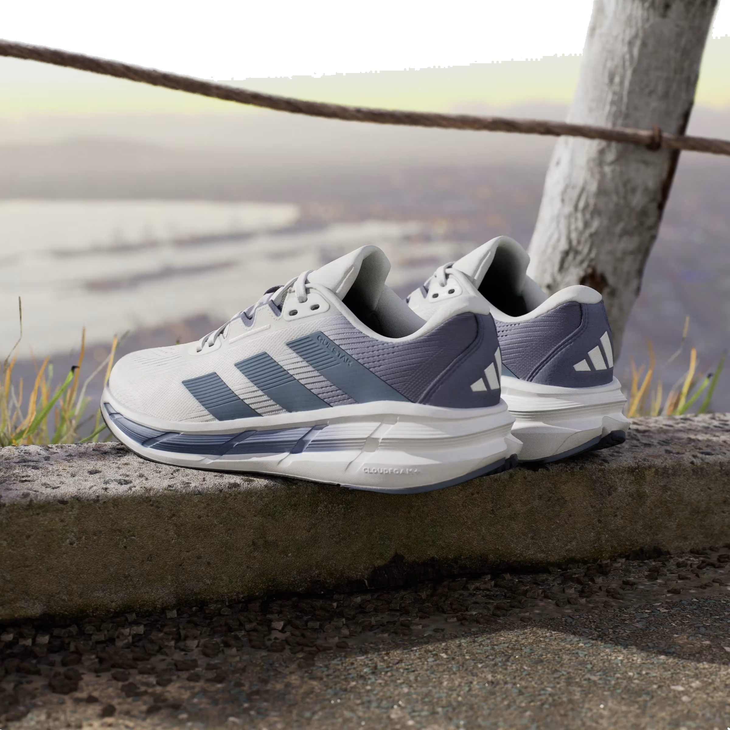 adidas Questar 3 Orbit Grey Onix